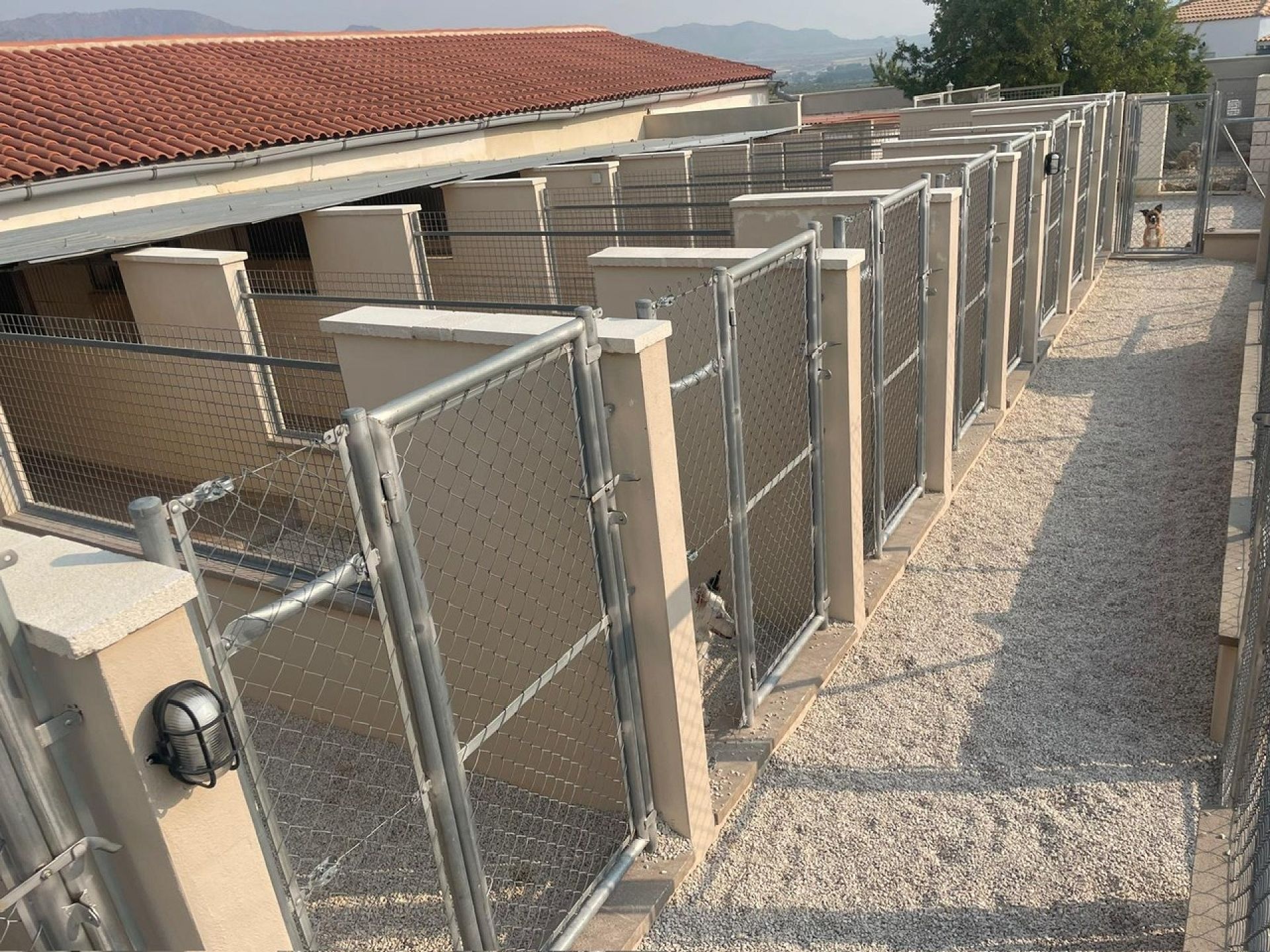 Resale - 4 Bedroom 4 Bathroom Commercial in Salinas -  - Alicante
