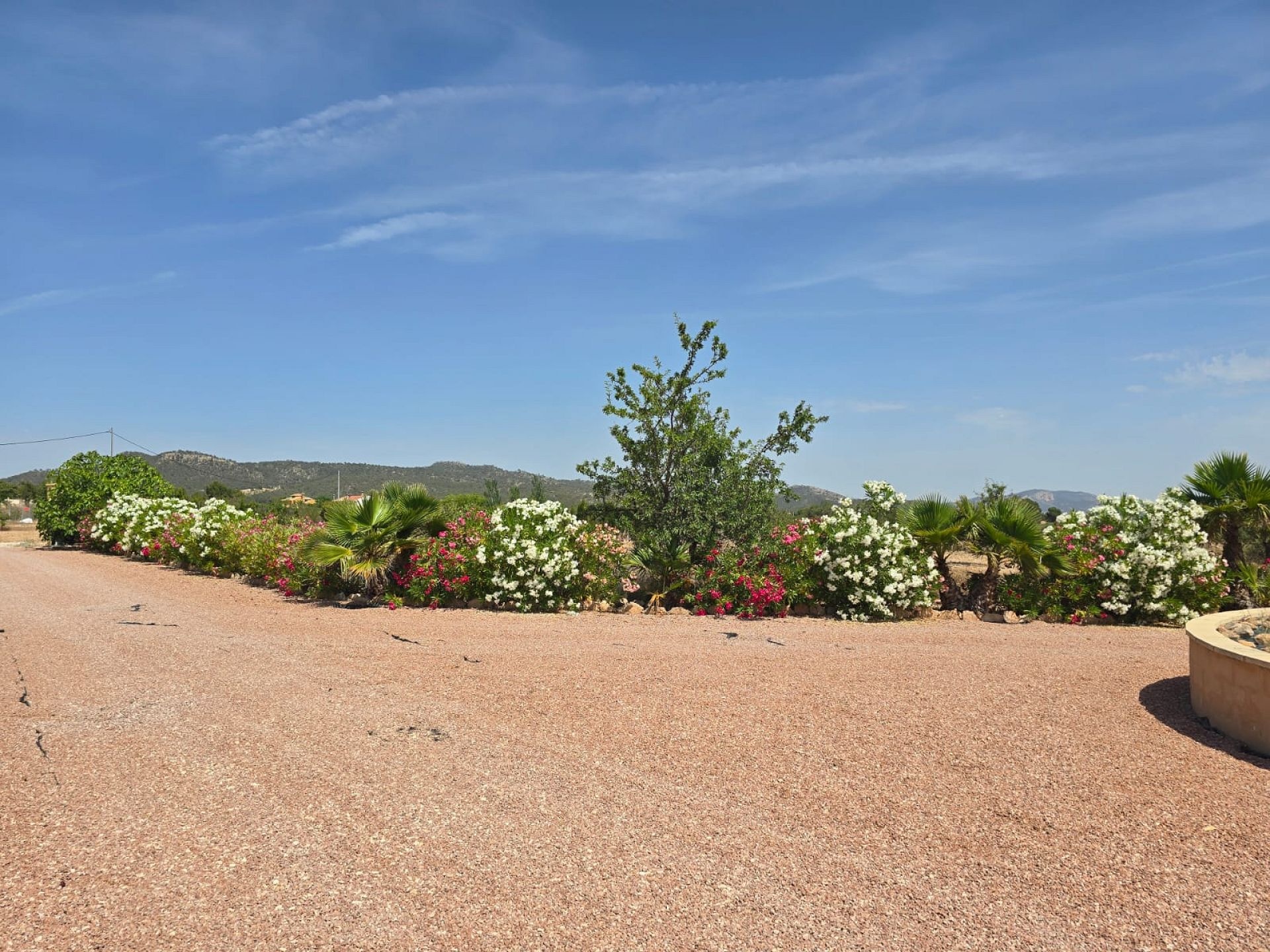 Resale - 4 Bedroom 3 Bathroom Villa in Monóvar -  - Alicante
