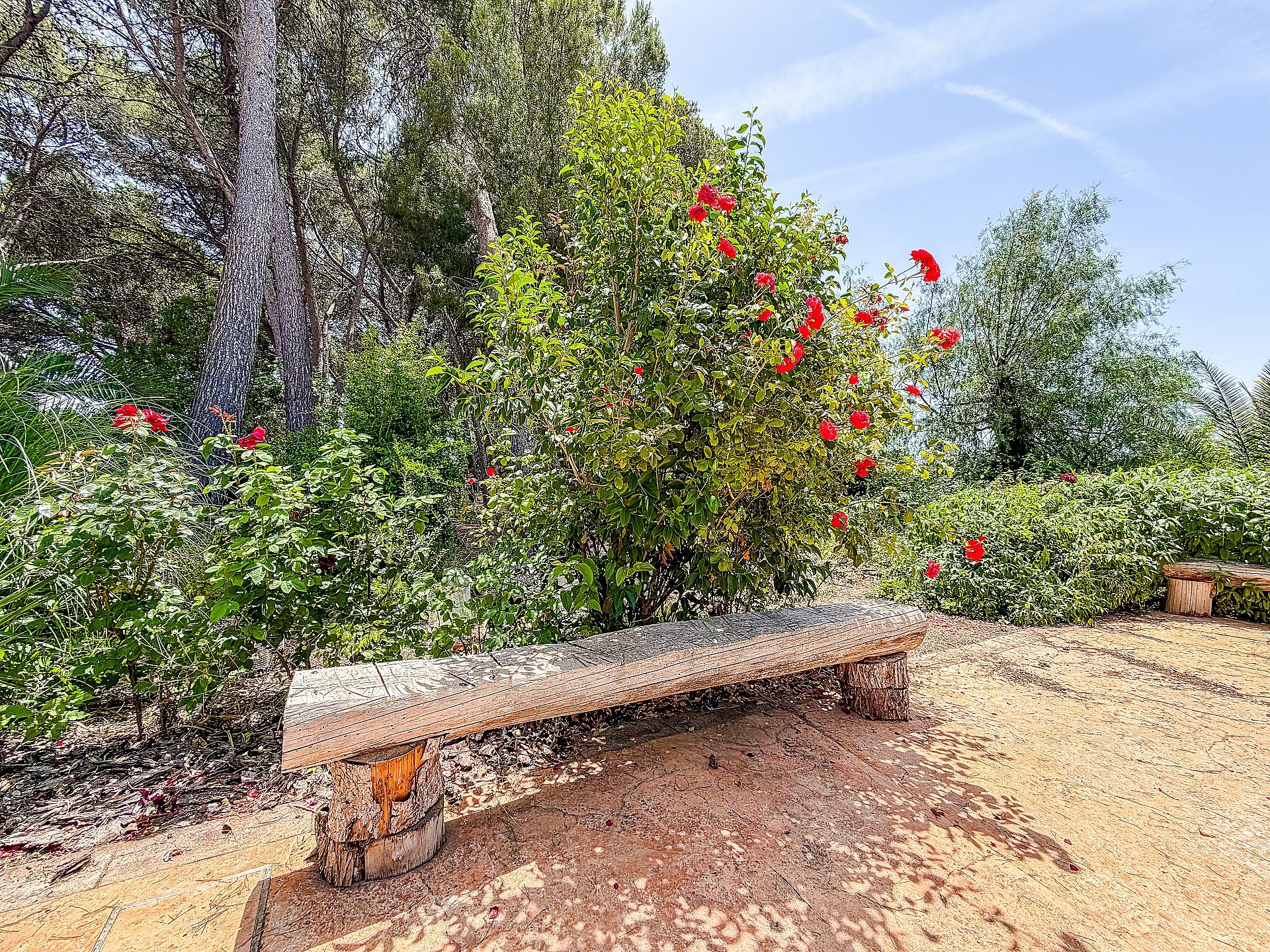 Resale - 4 Bedroom 4 Bathroom Villa in Yecla -  - Murcia