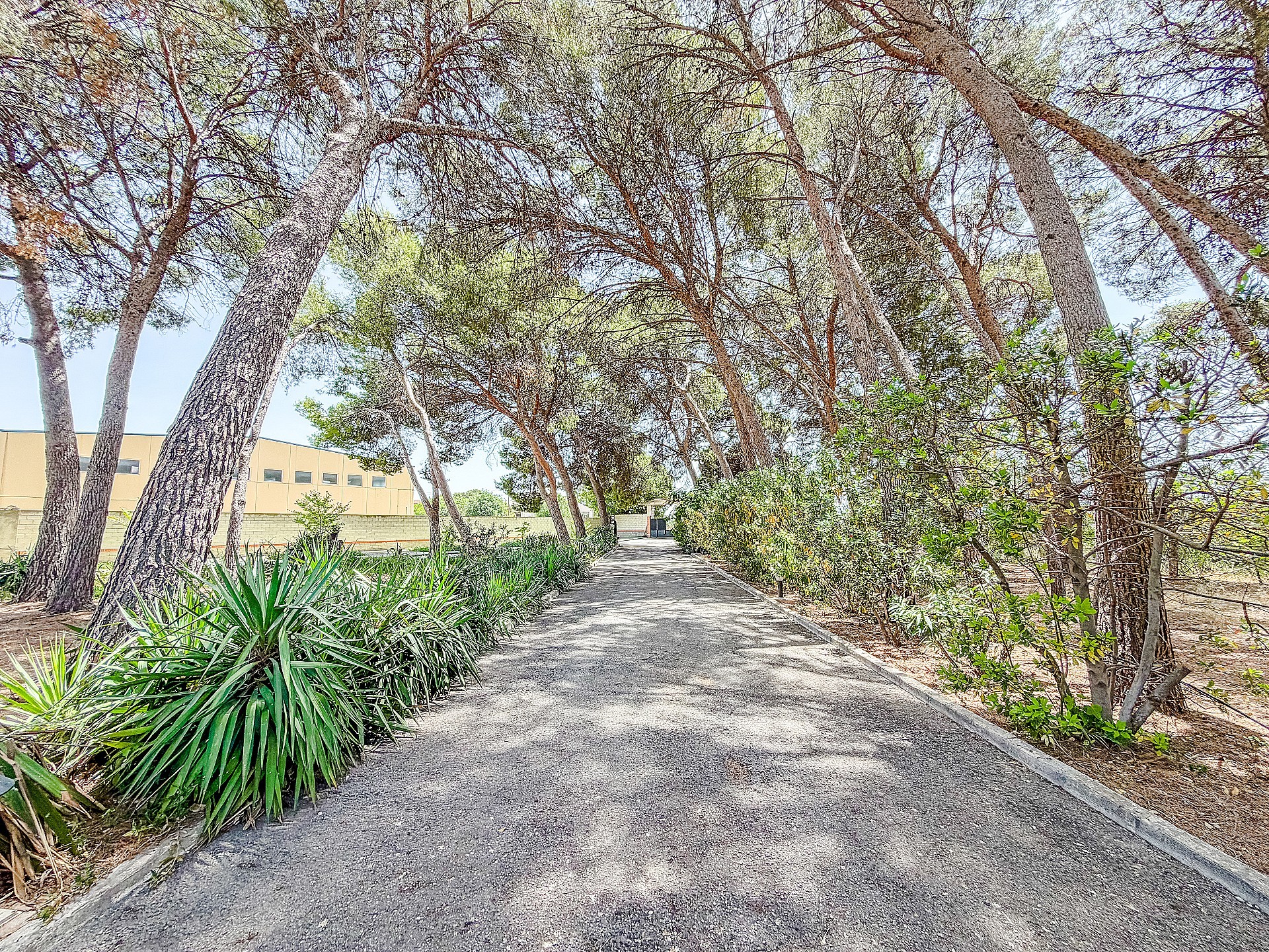 Resale - 4 Bedroom 4 Bathroom Villa in Yecla -  - Murcia