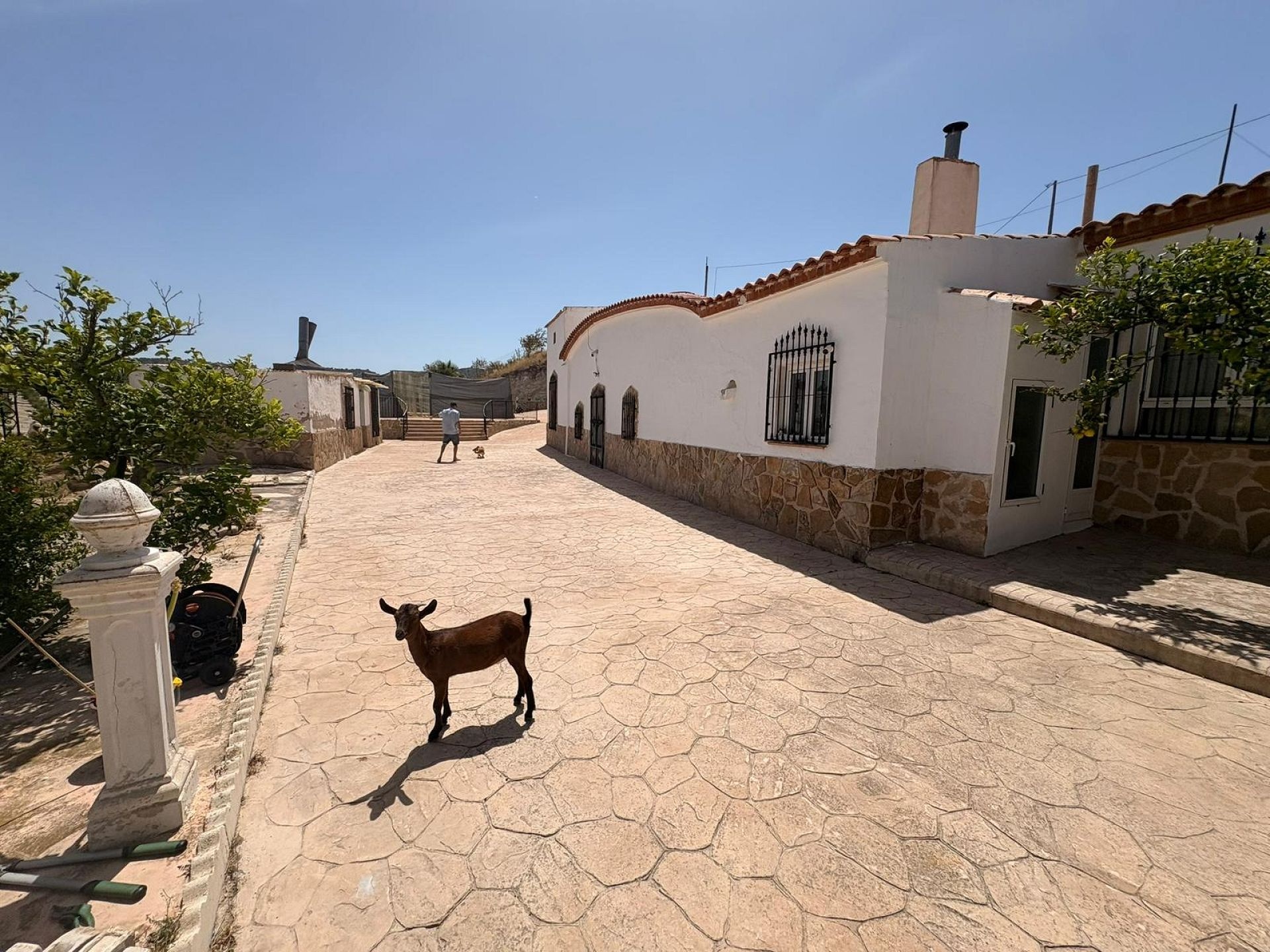 Resale - 6 Bedroom 1 Bathroom Country house in Jumilla -  - Murcia