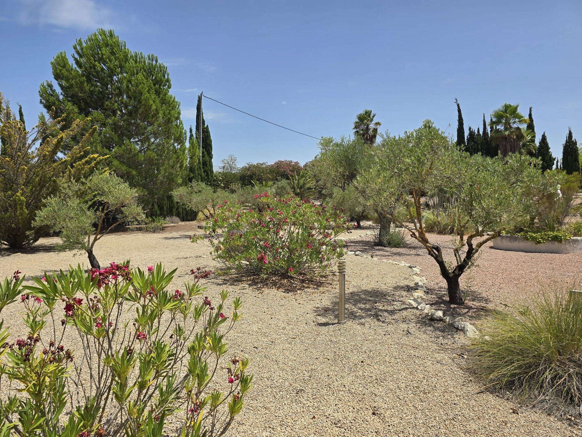 Resale - 6 Bedroom 5 Bathroom Villa in Salinas -  - Alicante