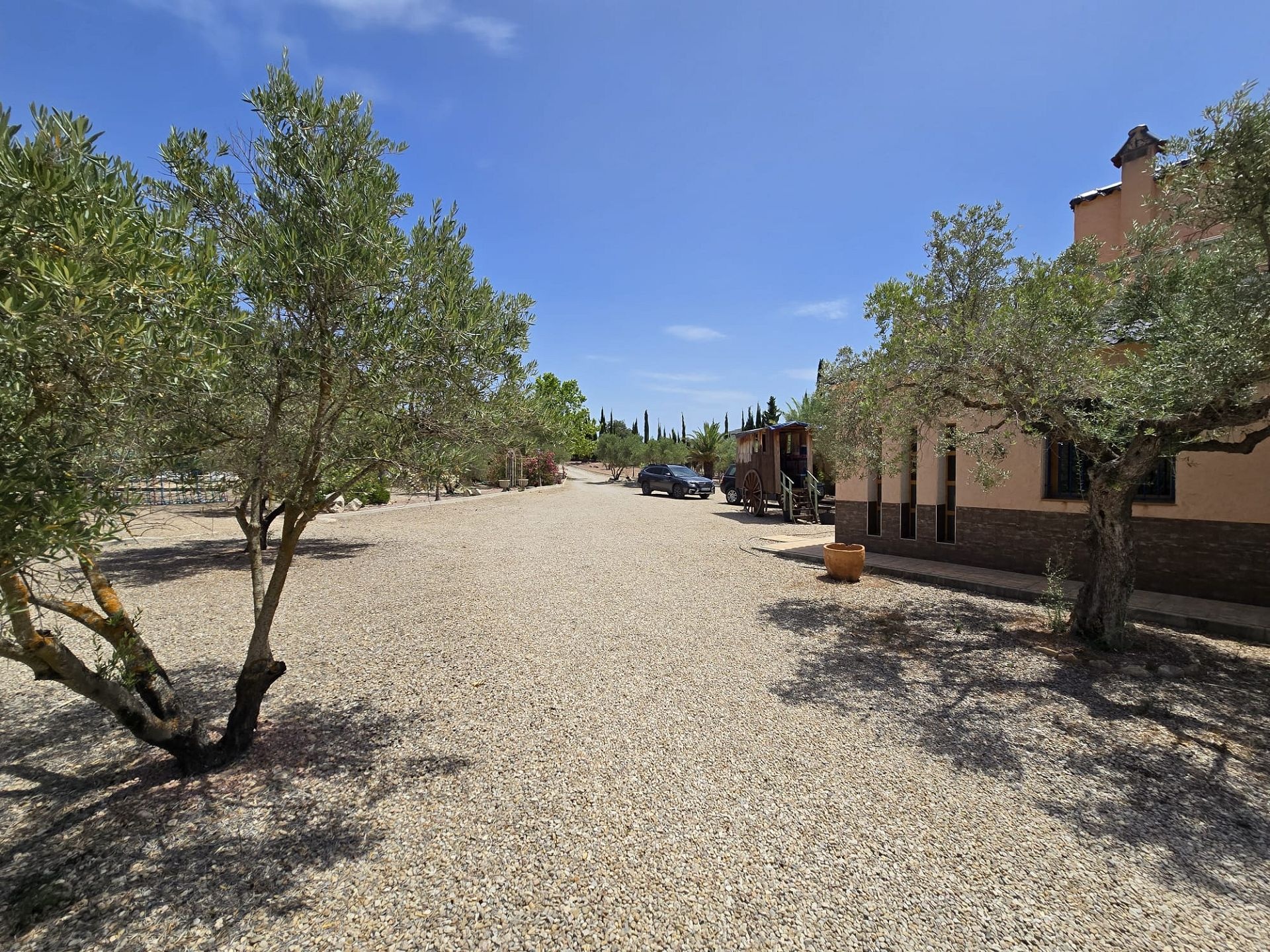 Resale - 6 Bedroom 5 Bathroom Villa in Salinas -  - Alicante
