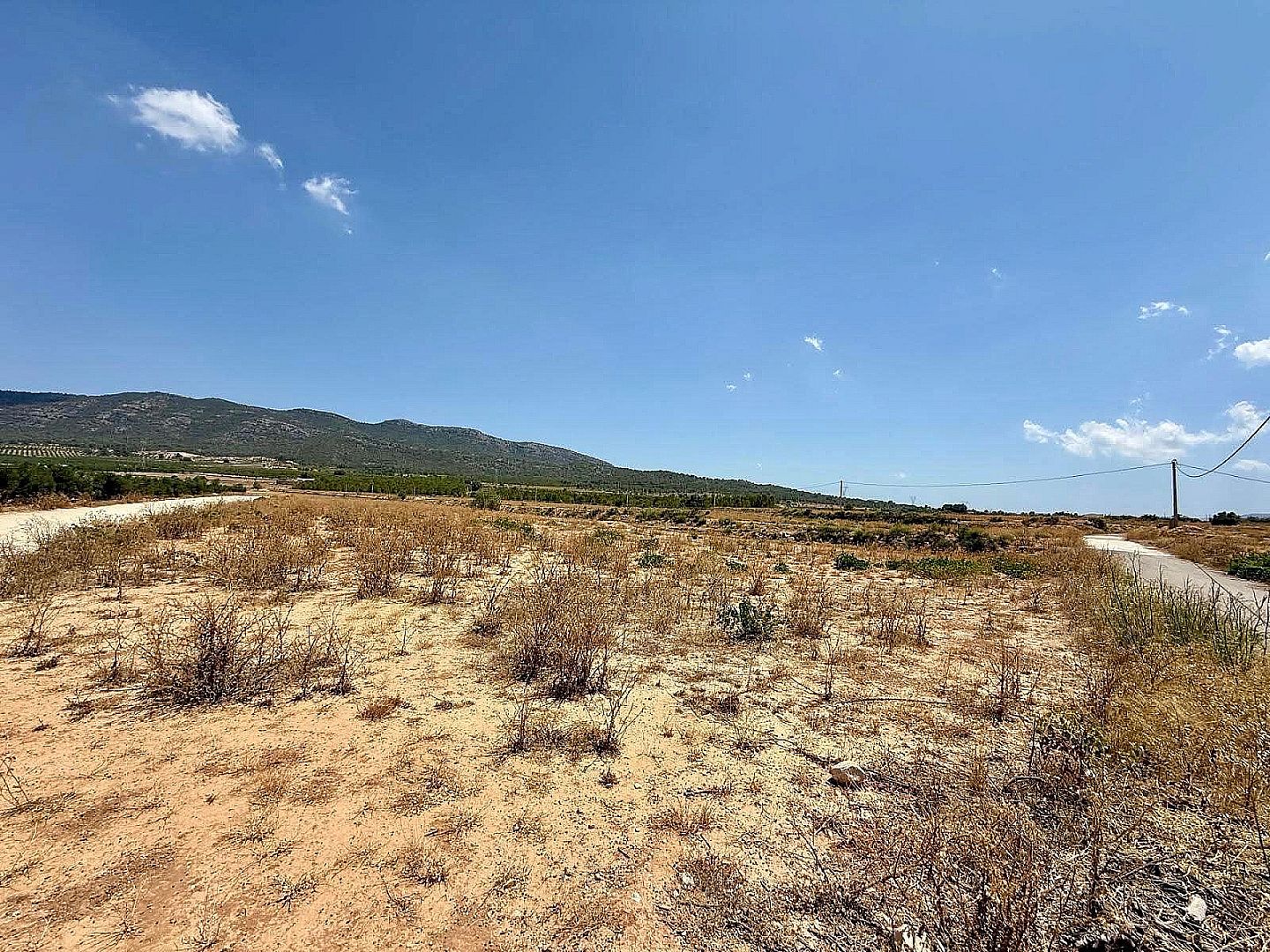Land in Salinas