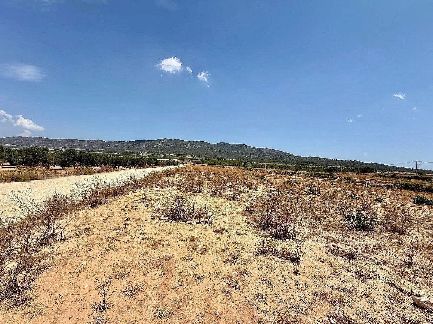 Land in Salinas