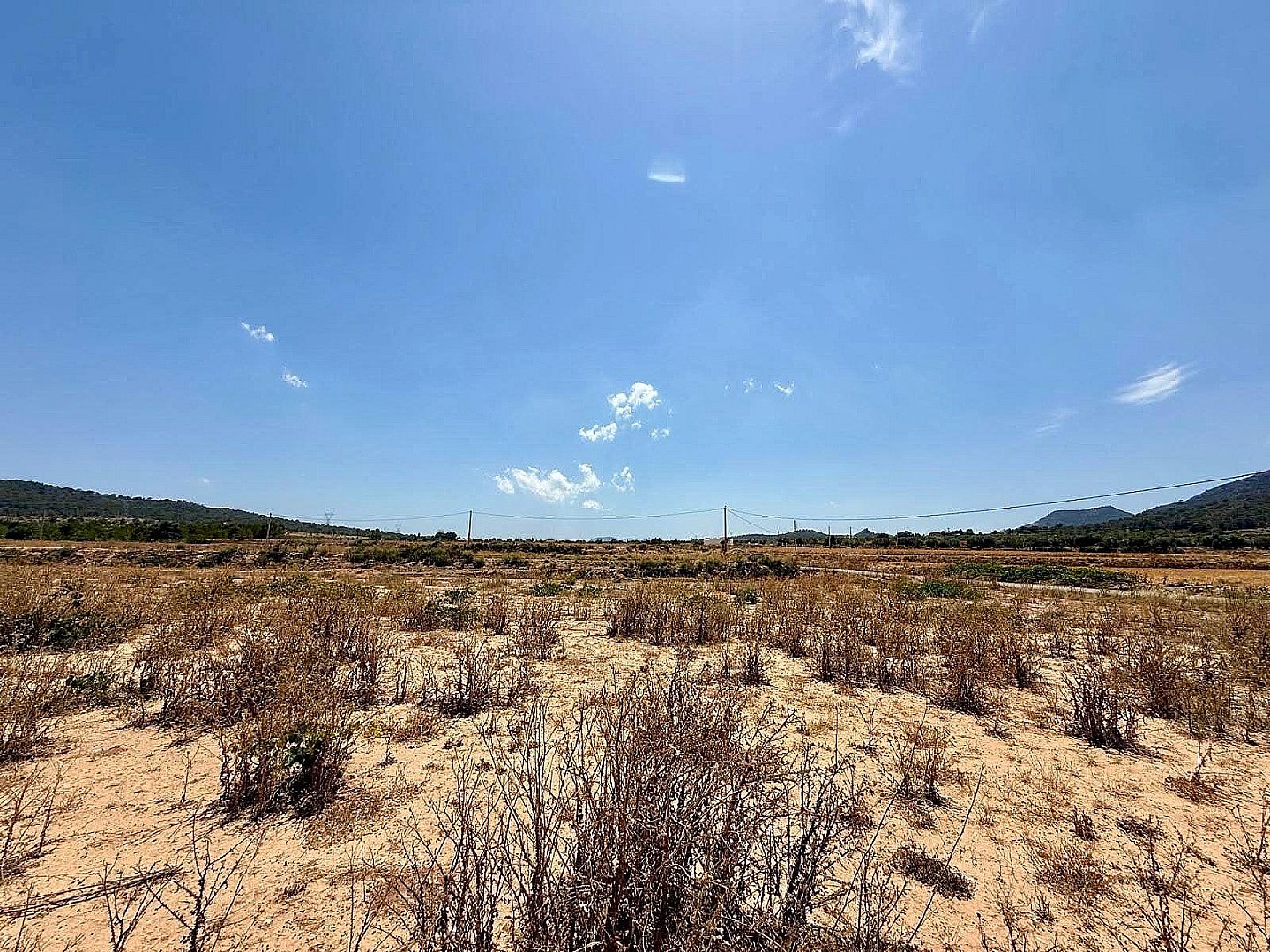 Land in Salinas