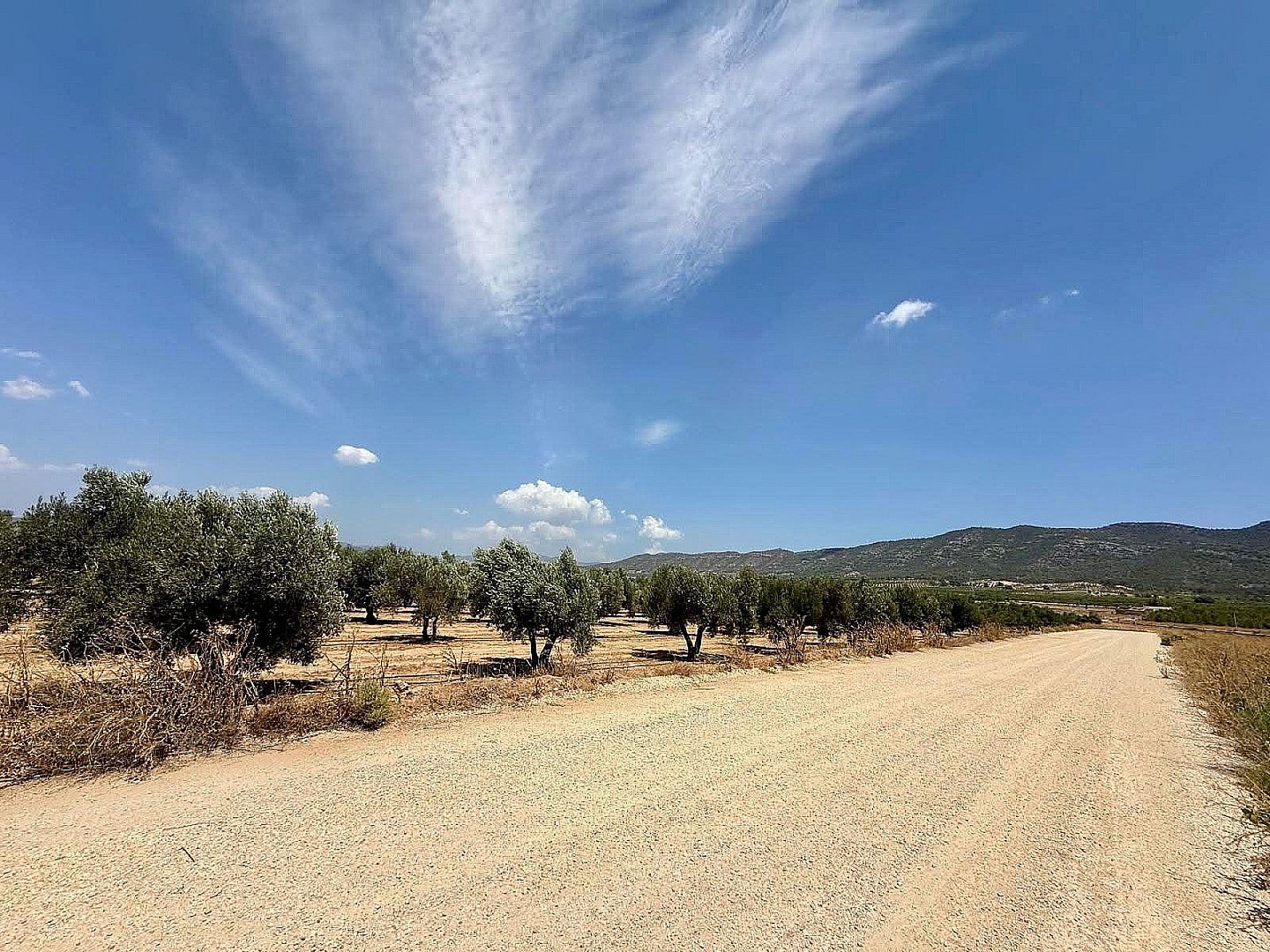 Land in Salinas