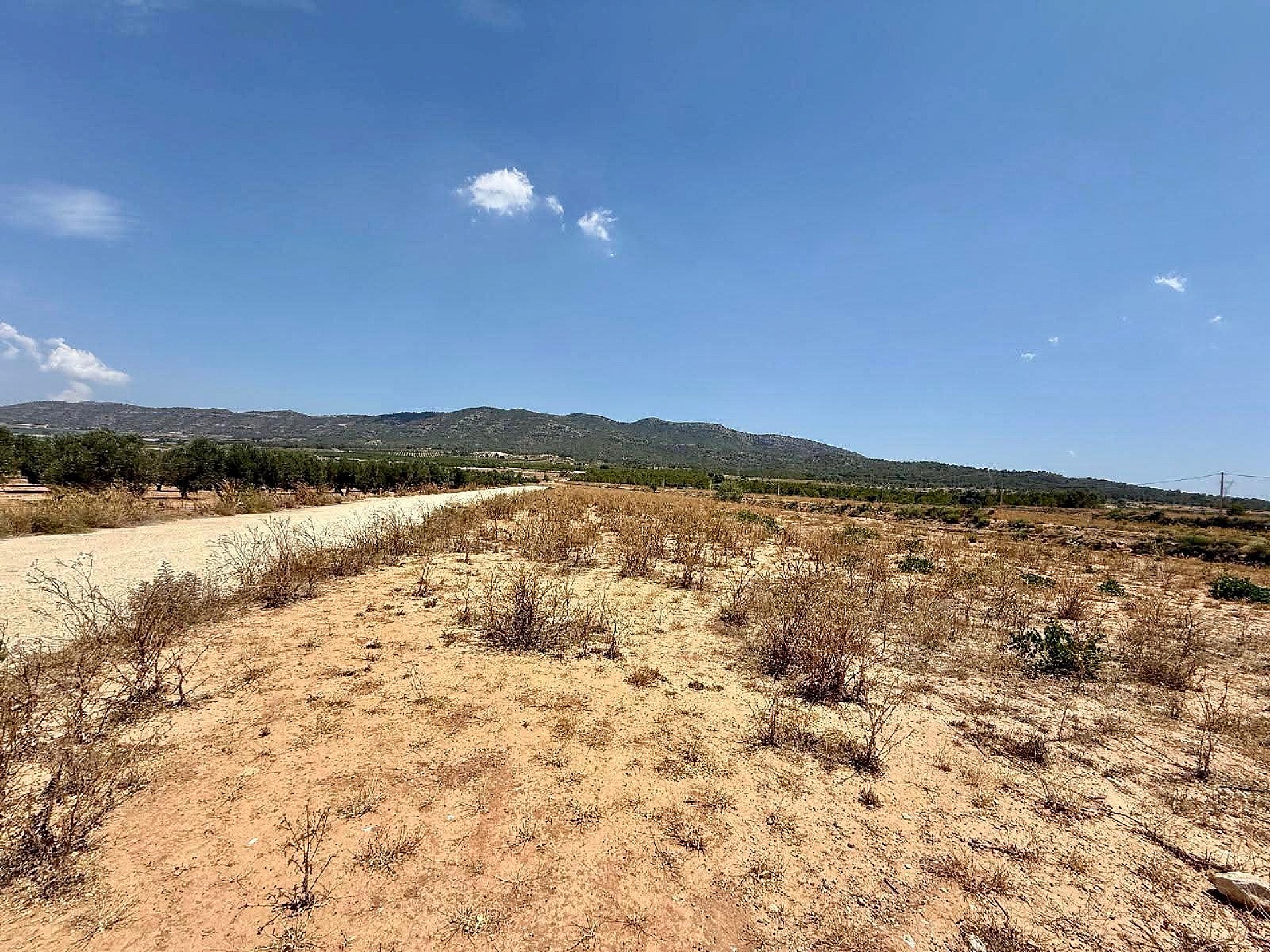 Resale - Land in Salinas - , Salinas, Alicante, Spain - Alicante