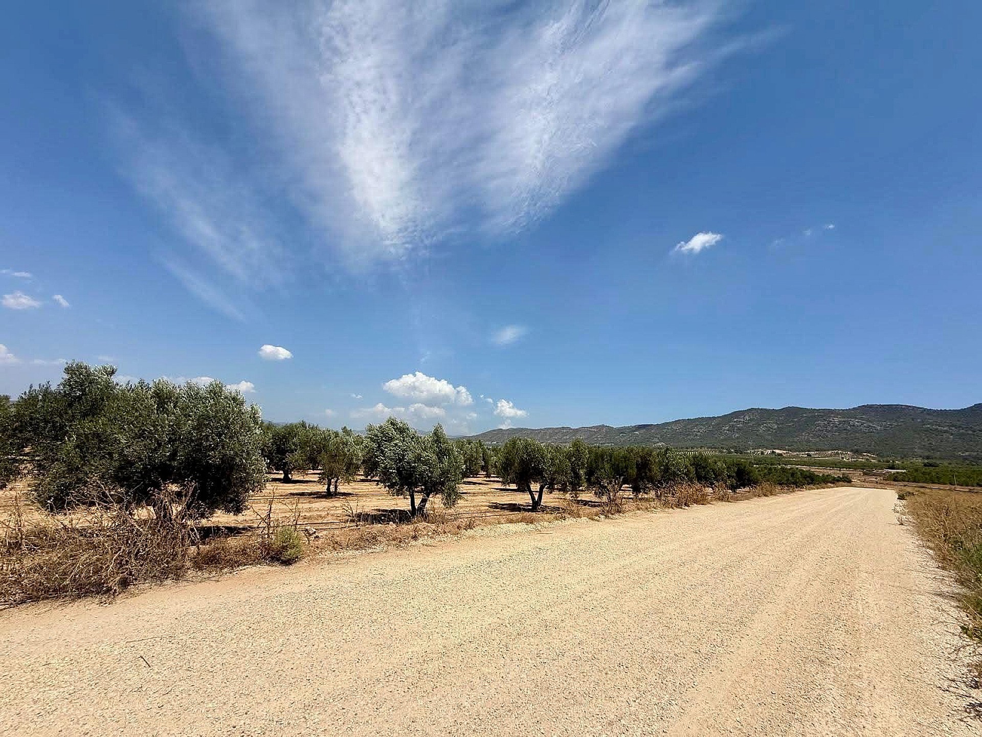 Resale - Land in Salinas - , Salinas, Alicante, Spain - Alicante