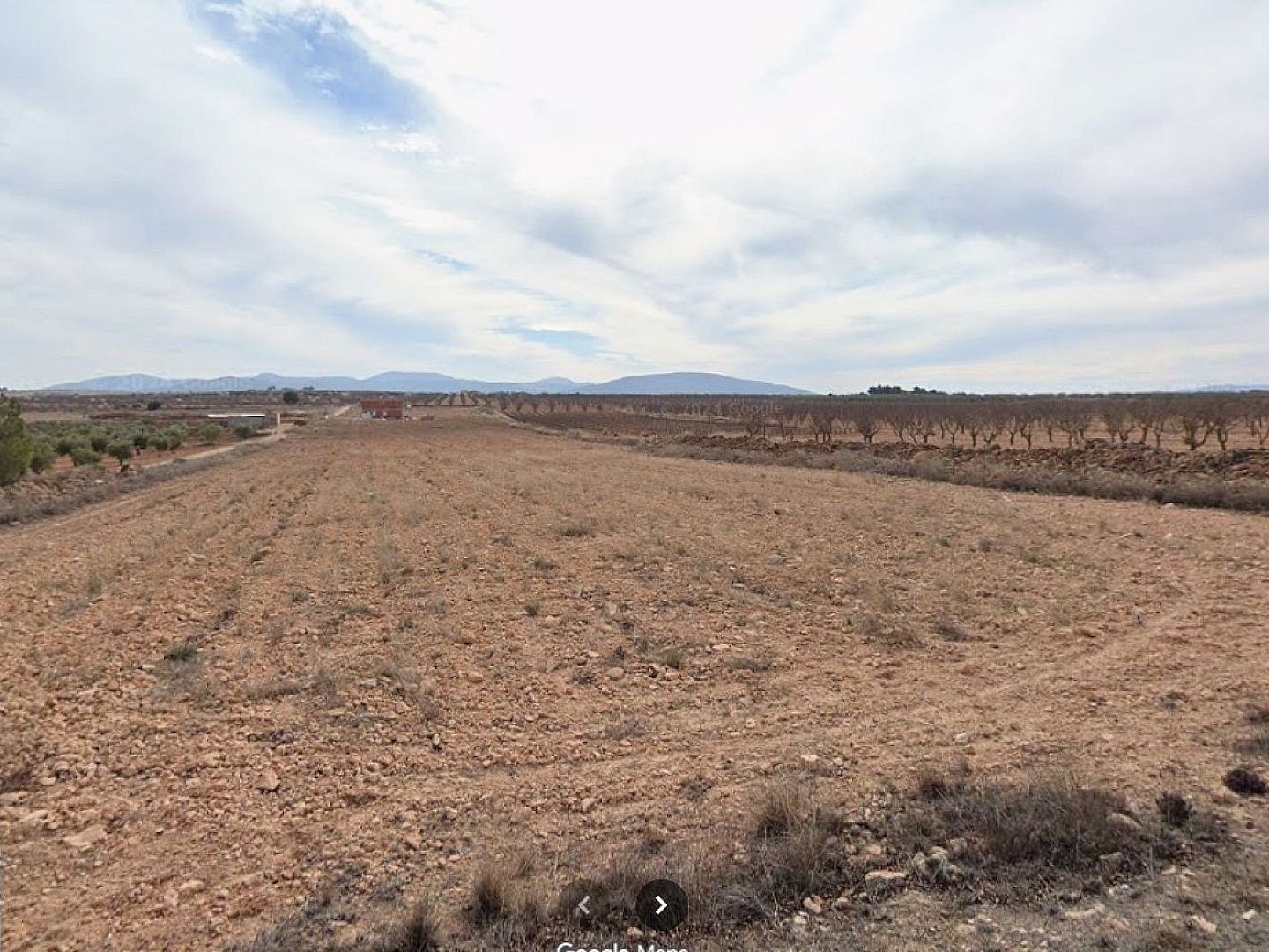 Land in Pinoso