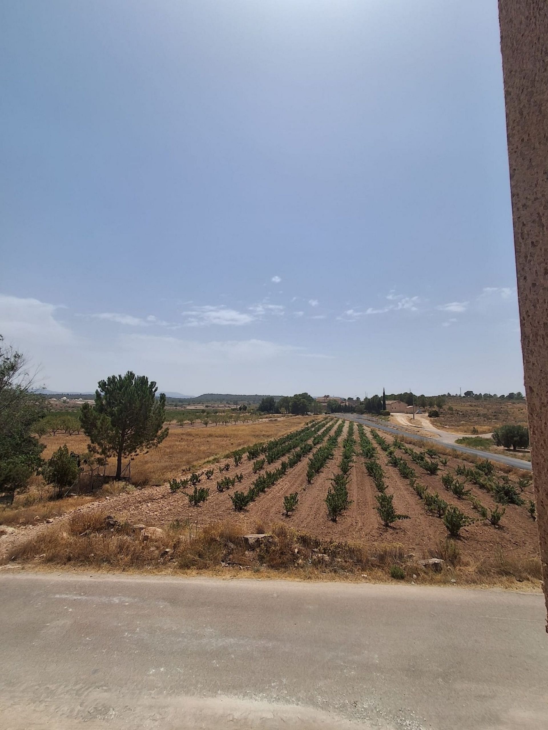 Resale - 4 Bedroom 2 Bathroom Country house in Pinoso -  - Alicante