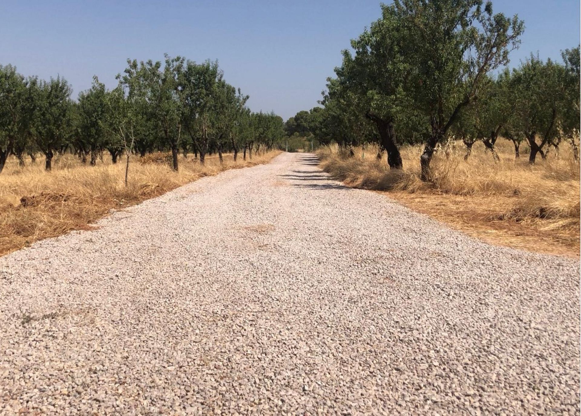 Resale - Land in Ayora -  - Valencia