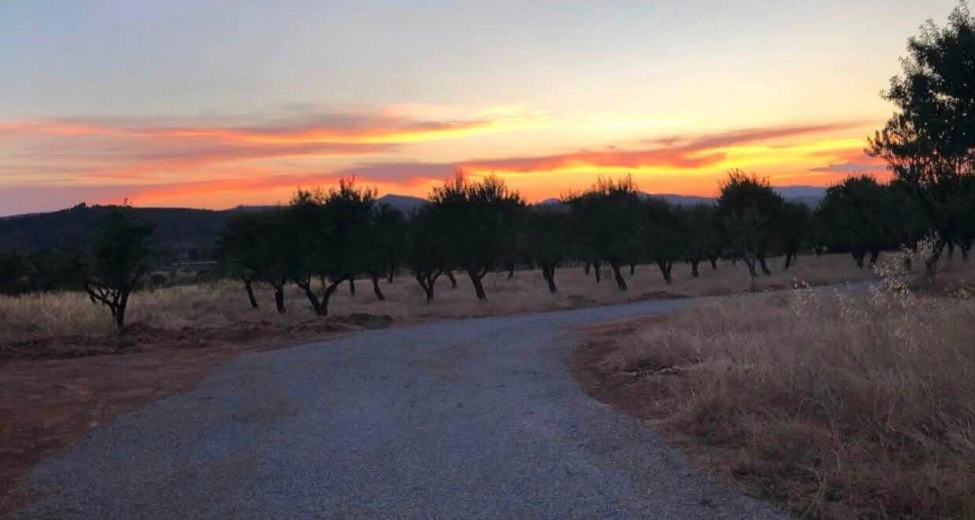 Resale - Land in Ayora -  - Valencia