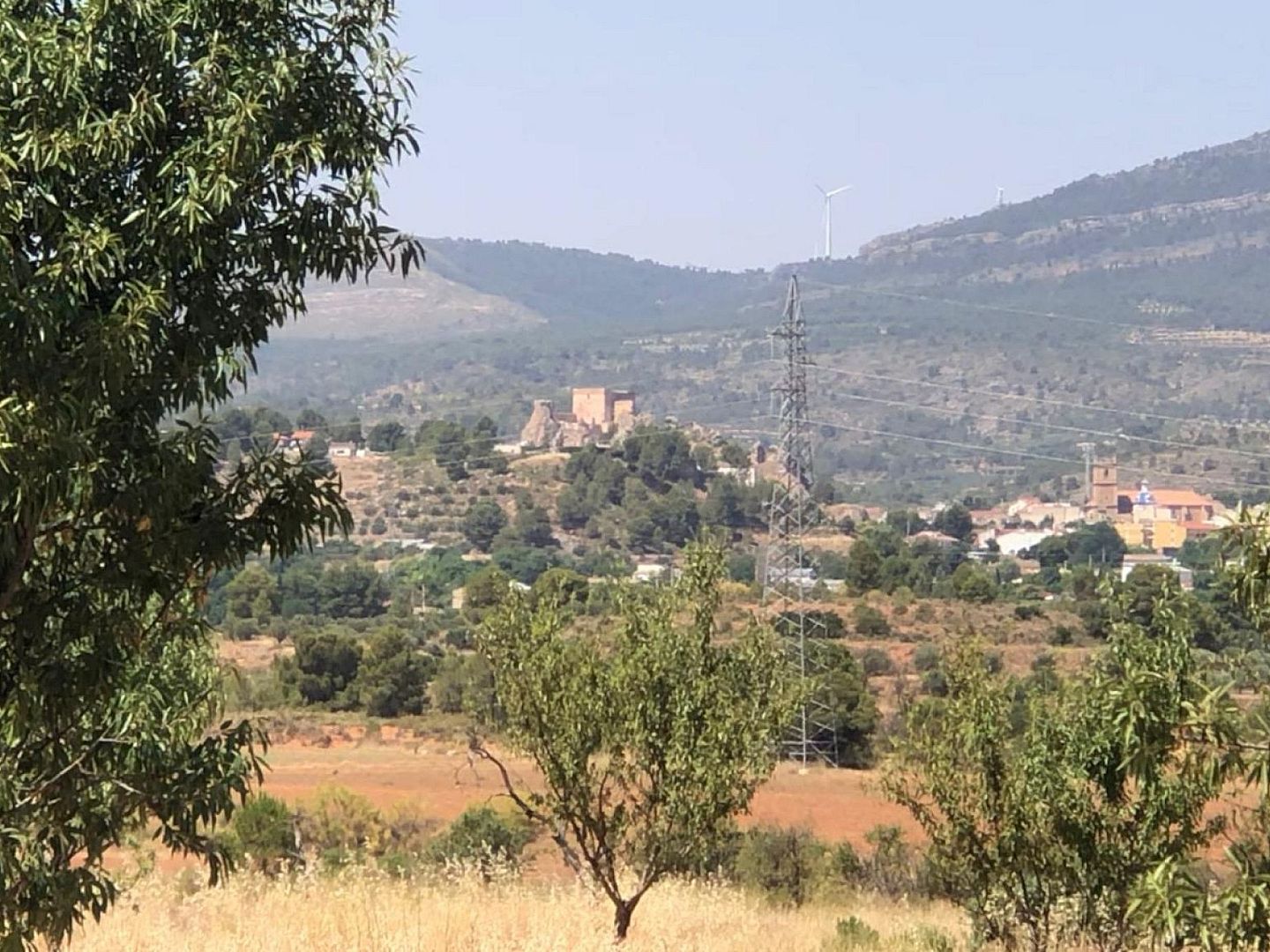 Land in Ayora