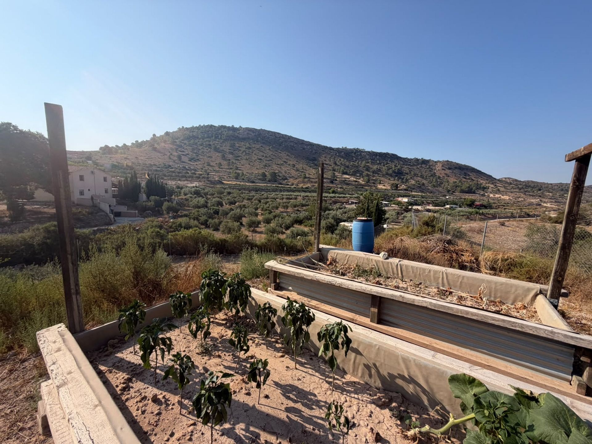 Resale - 6 Bedroom 3 Bathroom Country house in Aspe -  - Alicante