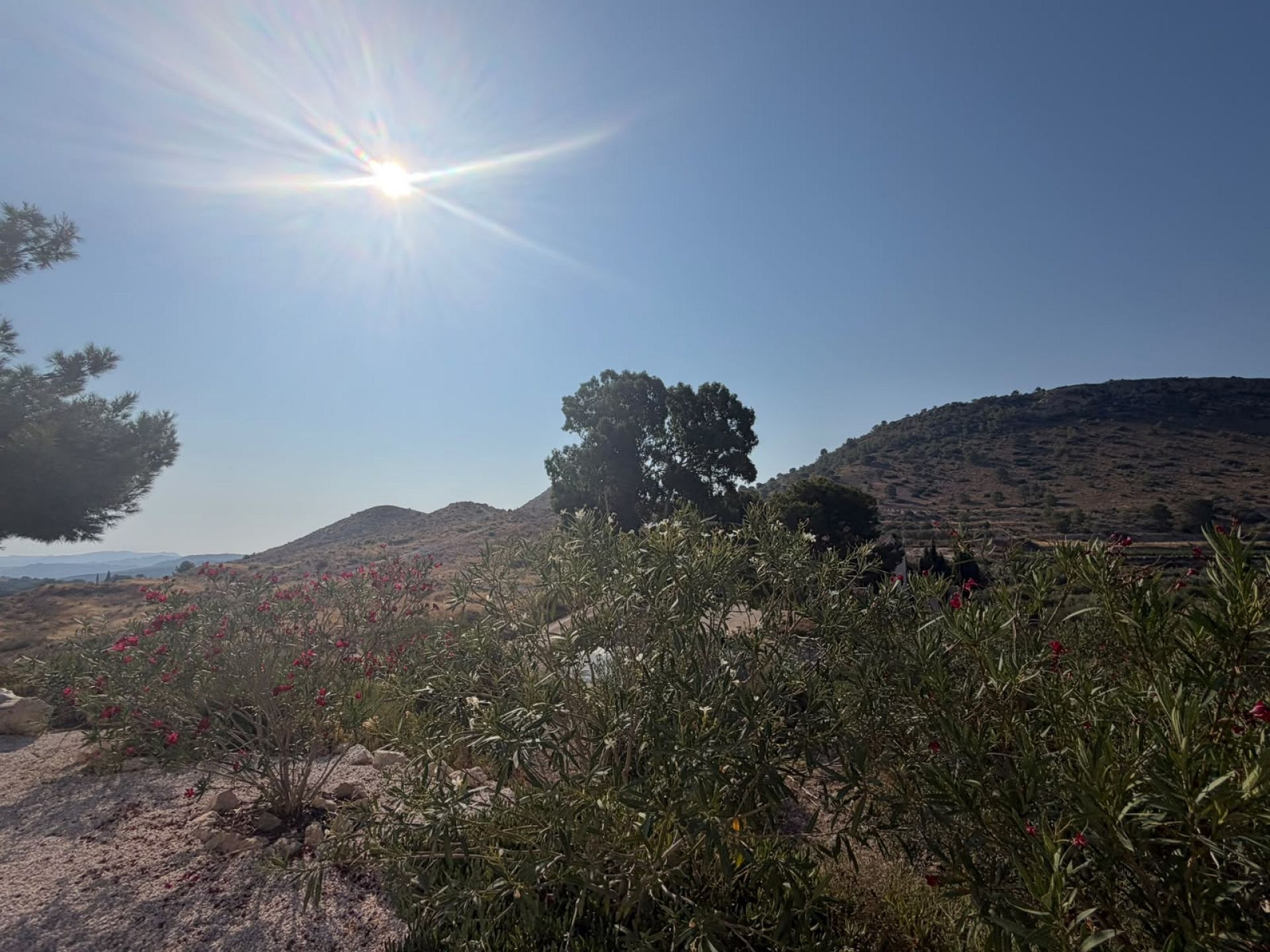 Resale - 6 Bedroom 3 Bathroom Country house in Aspe -  - Alicante