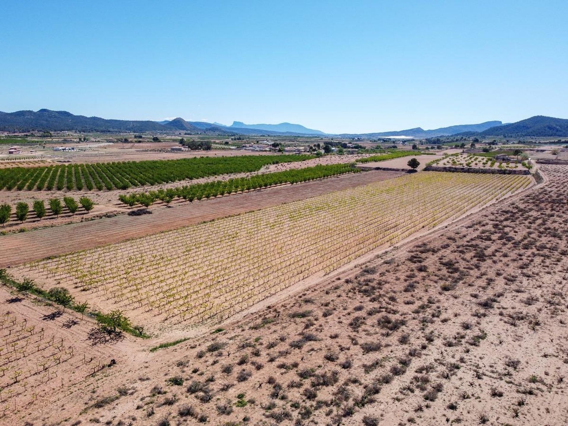 Resale - Land in Pinoso -  - Alicante