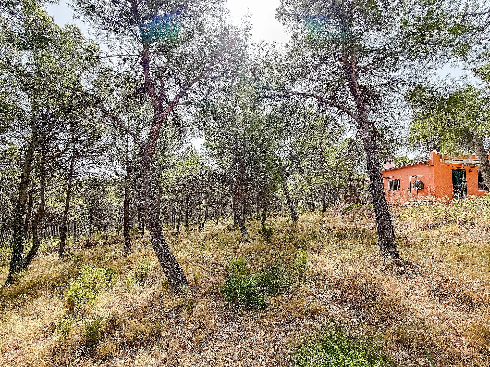 Resale - 2 Bedroom 1 Bathroom Finca in Castalla -  - Alicante