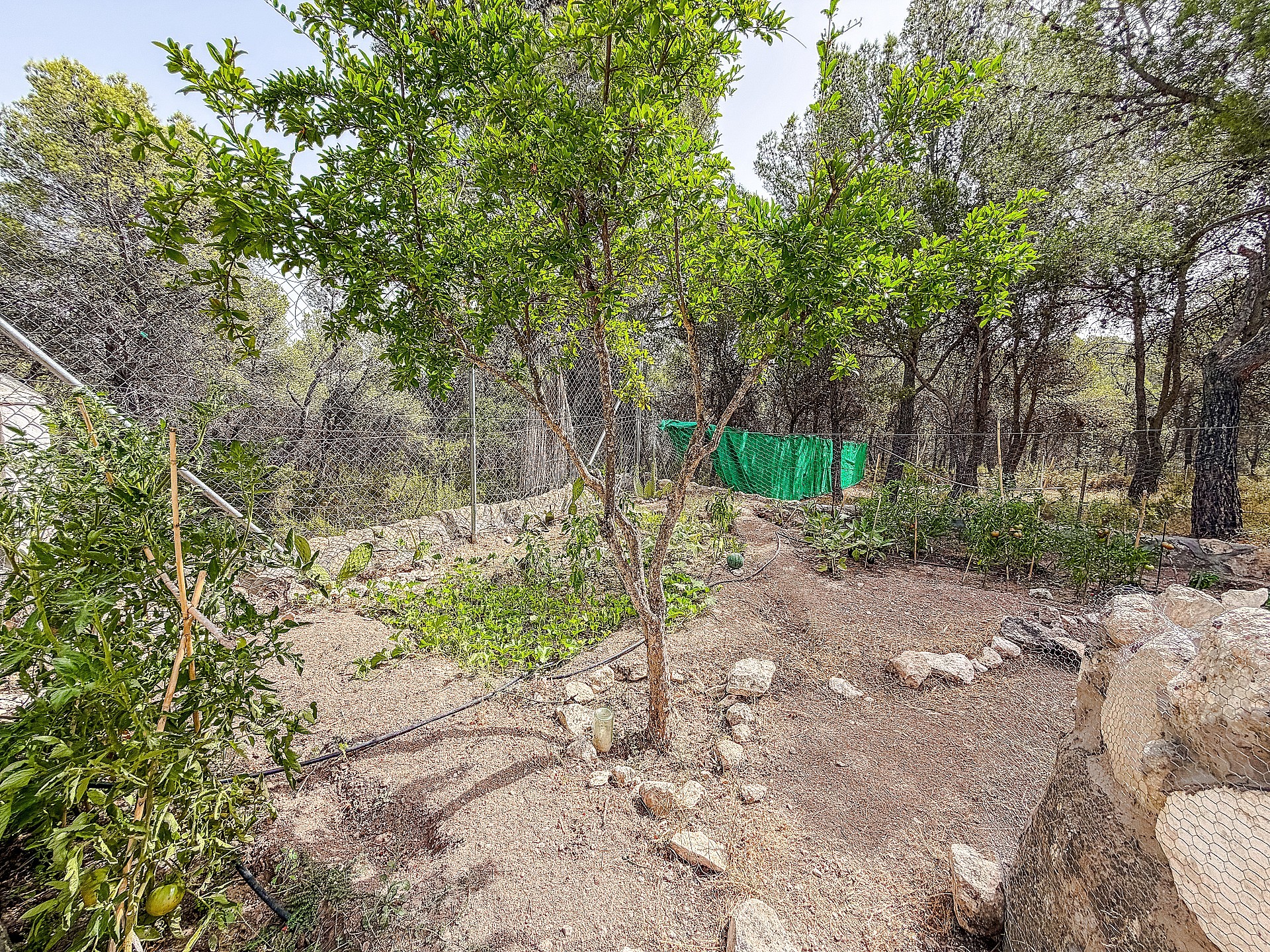 Resale - 2 Bedroom 1 Bathroom Finca in Castalla -  - Alicante