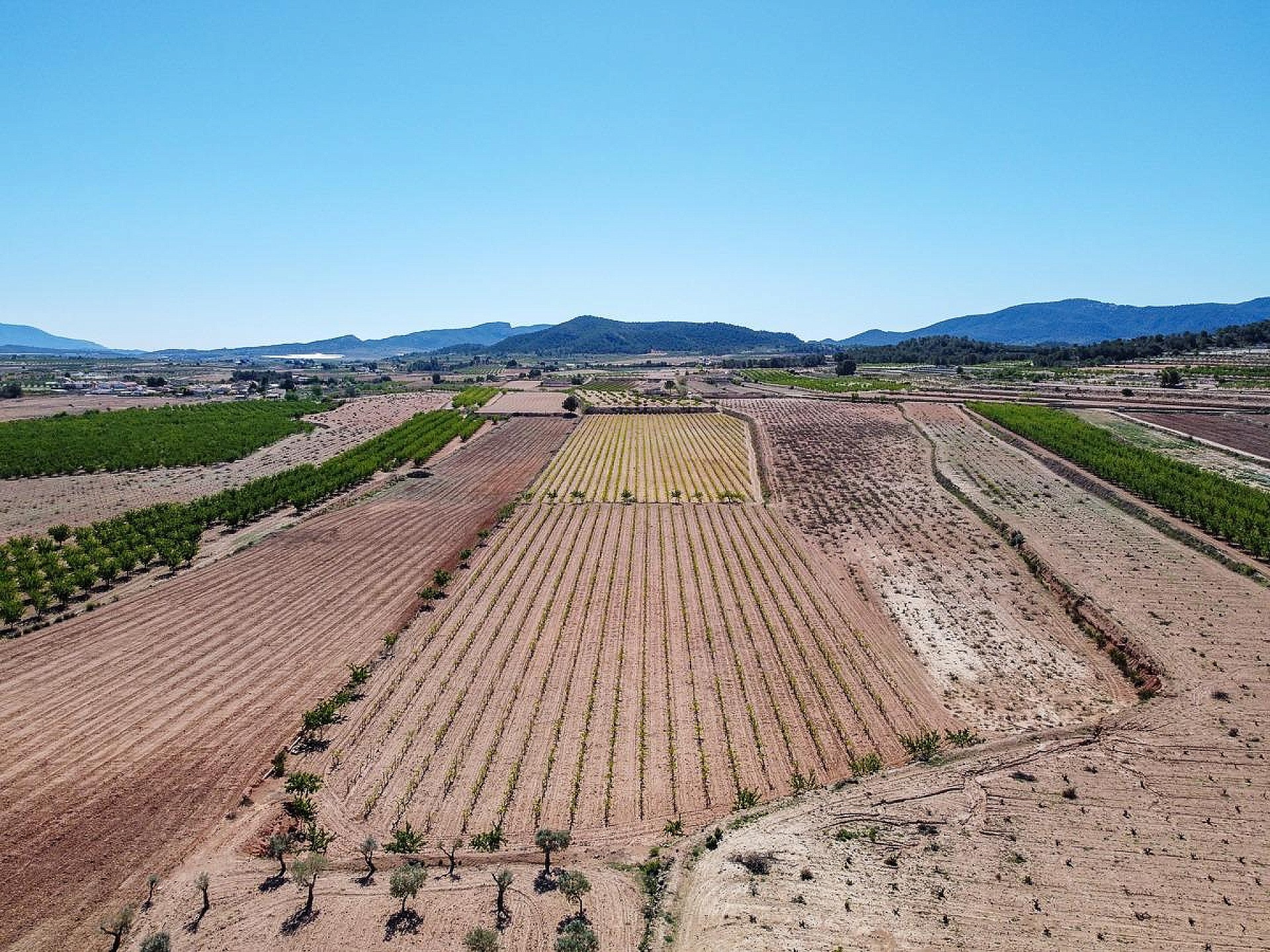 Resale - Land in Pinoso -  - Alicante
