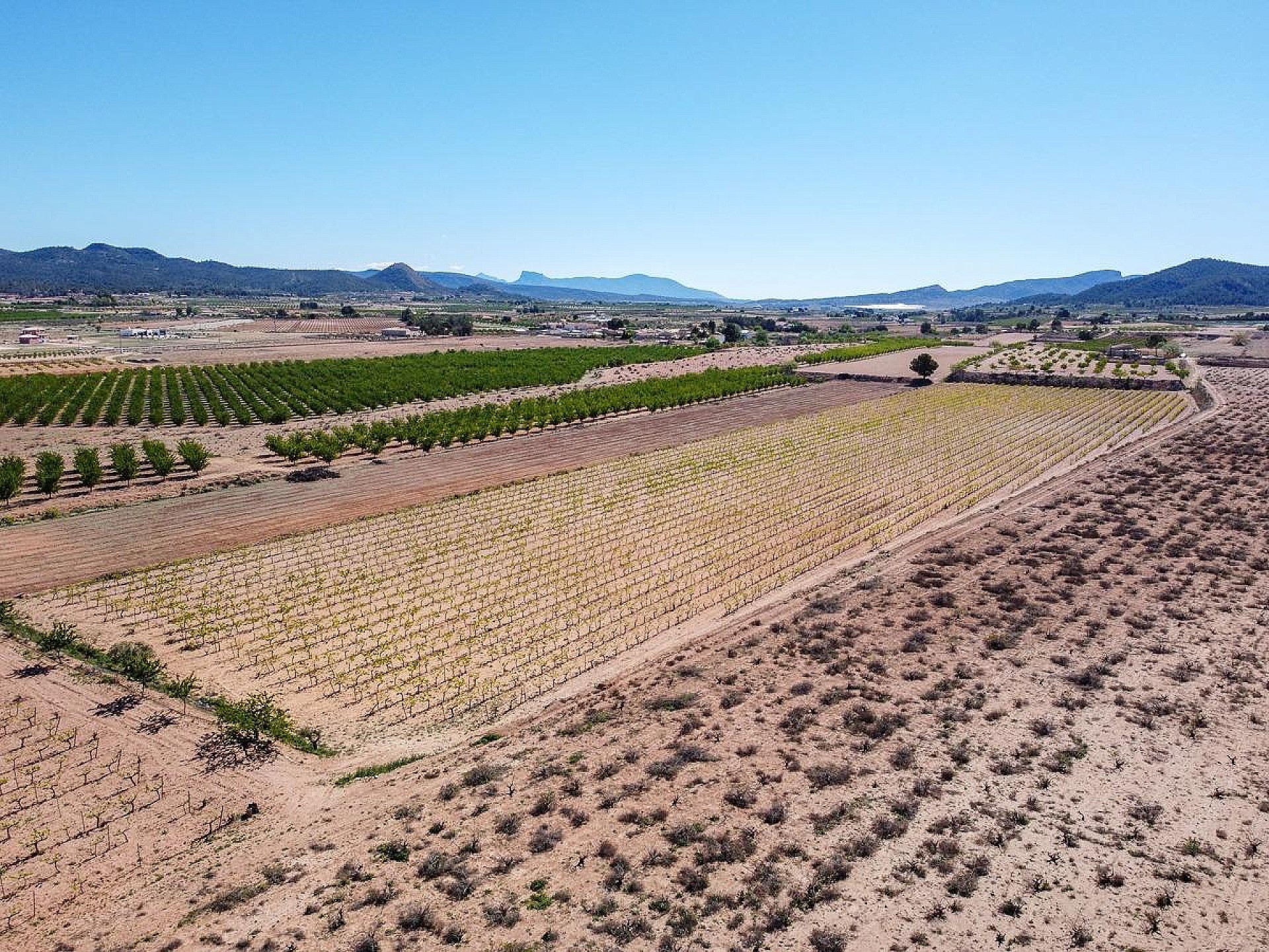 Resale - Land in Pinoso -  - Alicante