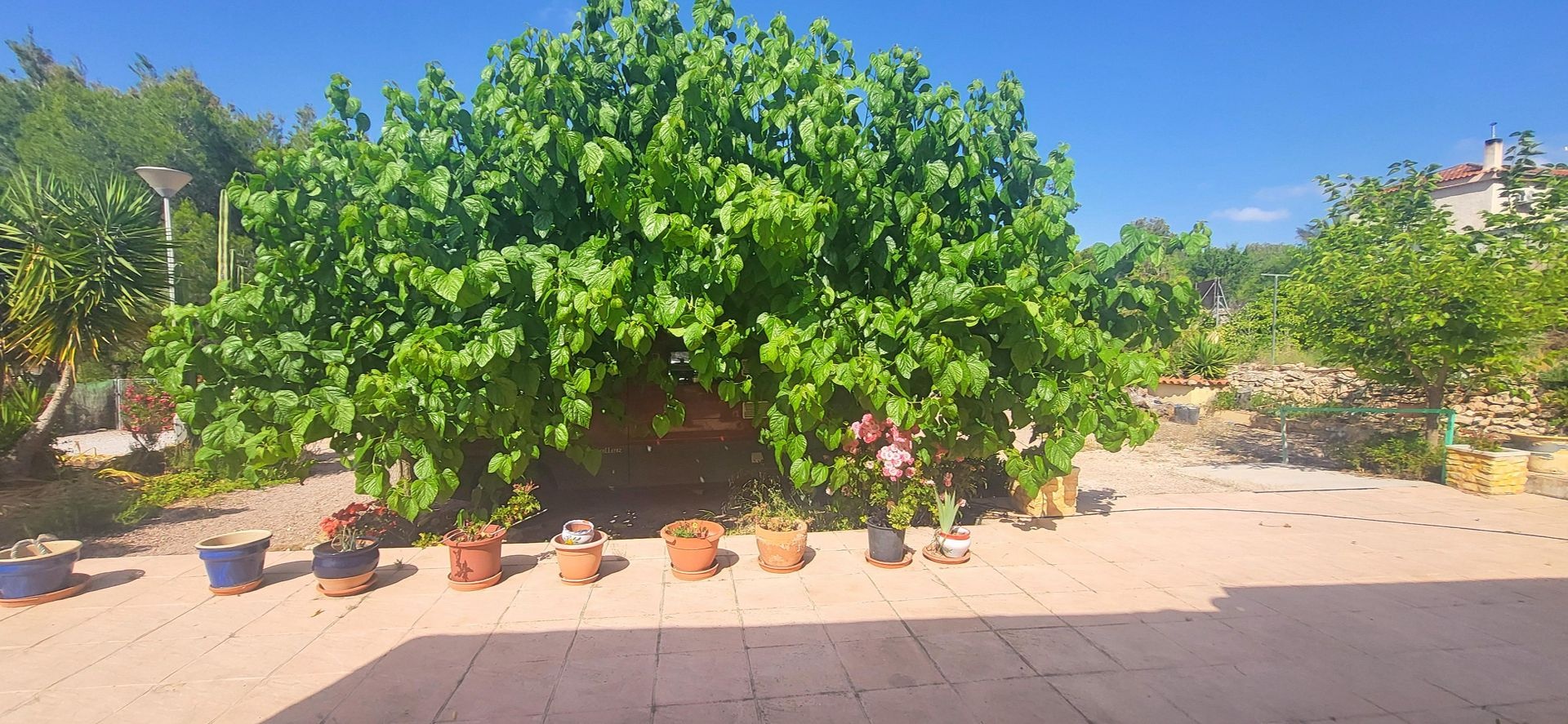 Resale - 4 Bedroom 2 Bathroom Villa in Hondón de las Nieves -  - Alicante
