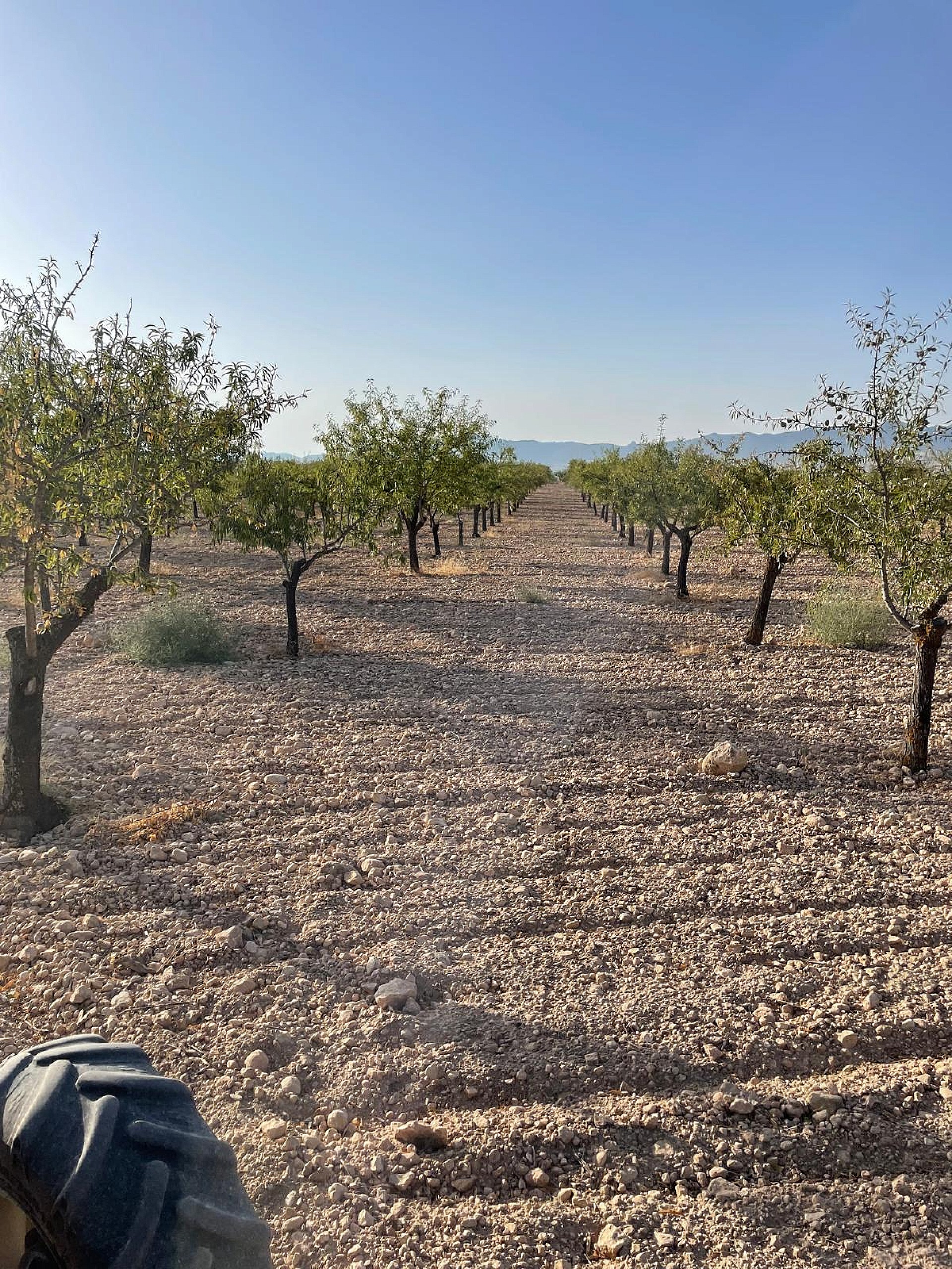 Resale - 4 Bedroom 1 Bathroom Country house in Yecla - , Yecla, Murcia, Spain - Murcia