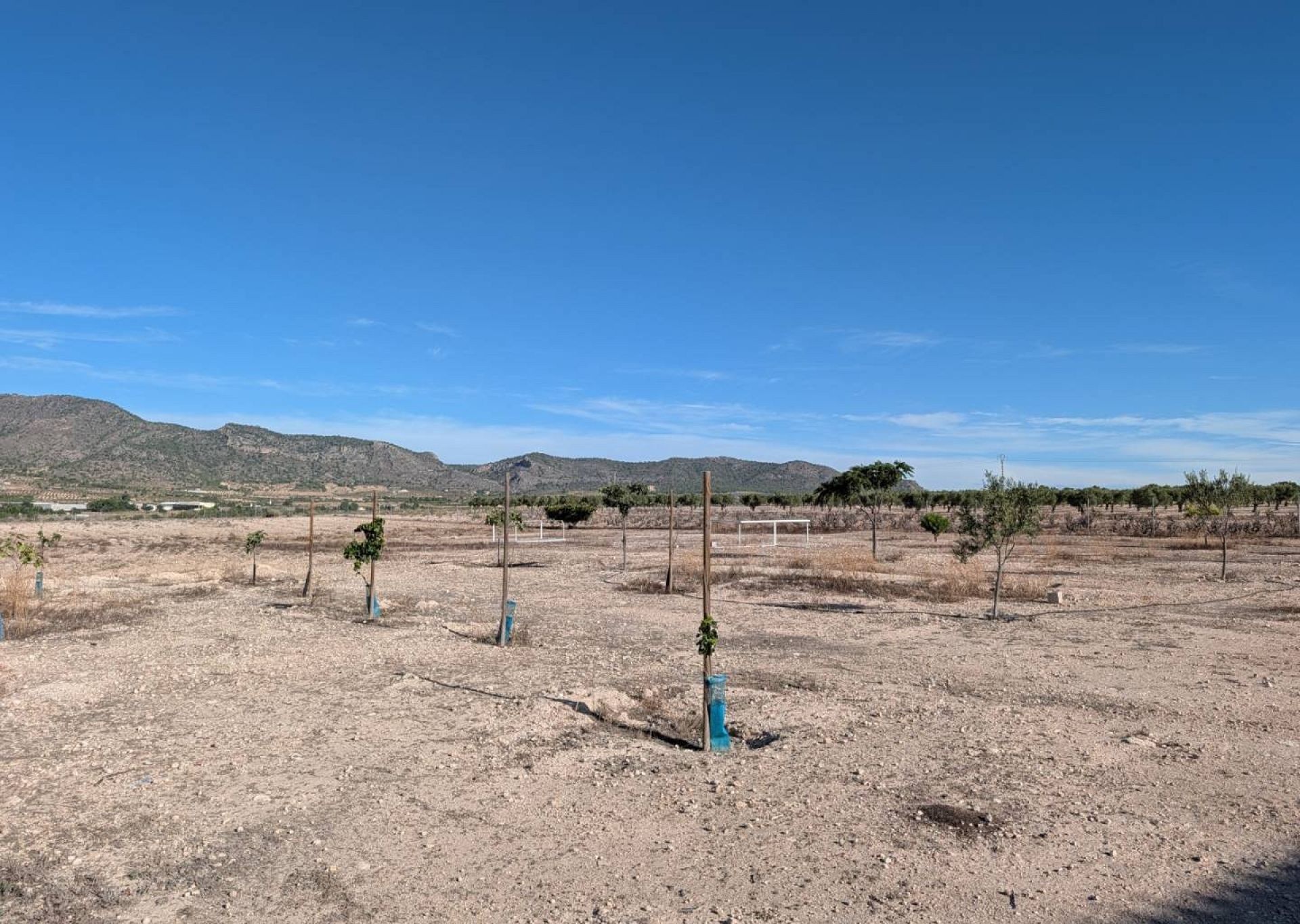 Resale - 3 Bedroom 2 Bathroom Country house in Salinas -  - Alicante