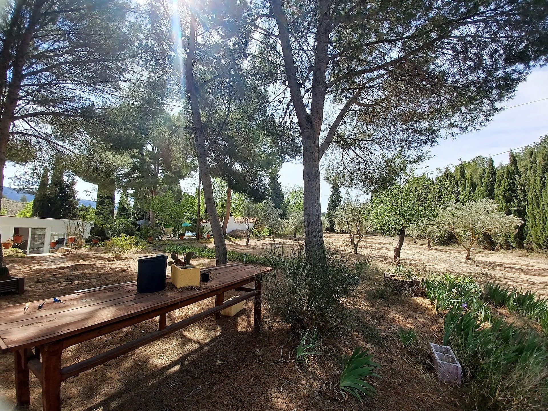 Resale - 5 Bedroom 1 Bathroom Villa in Sax -  - Alicante