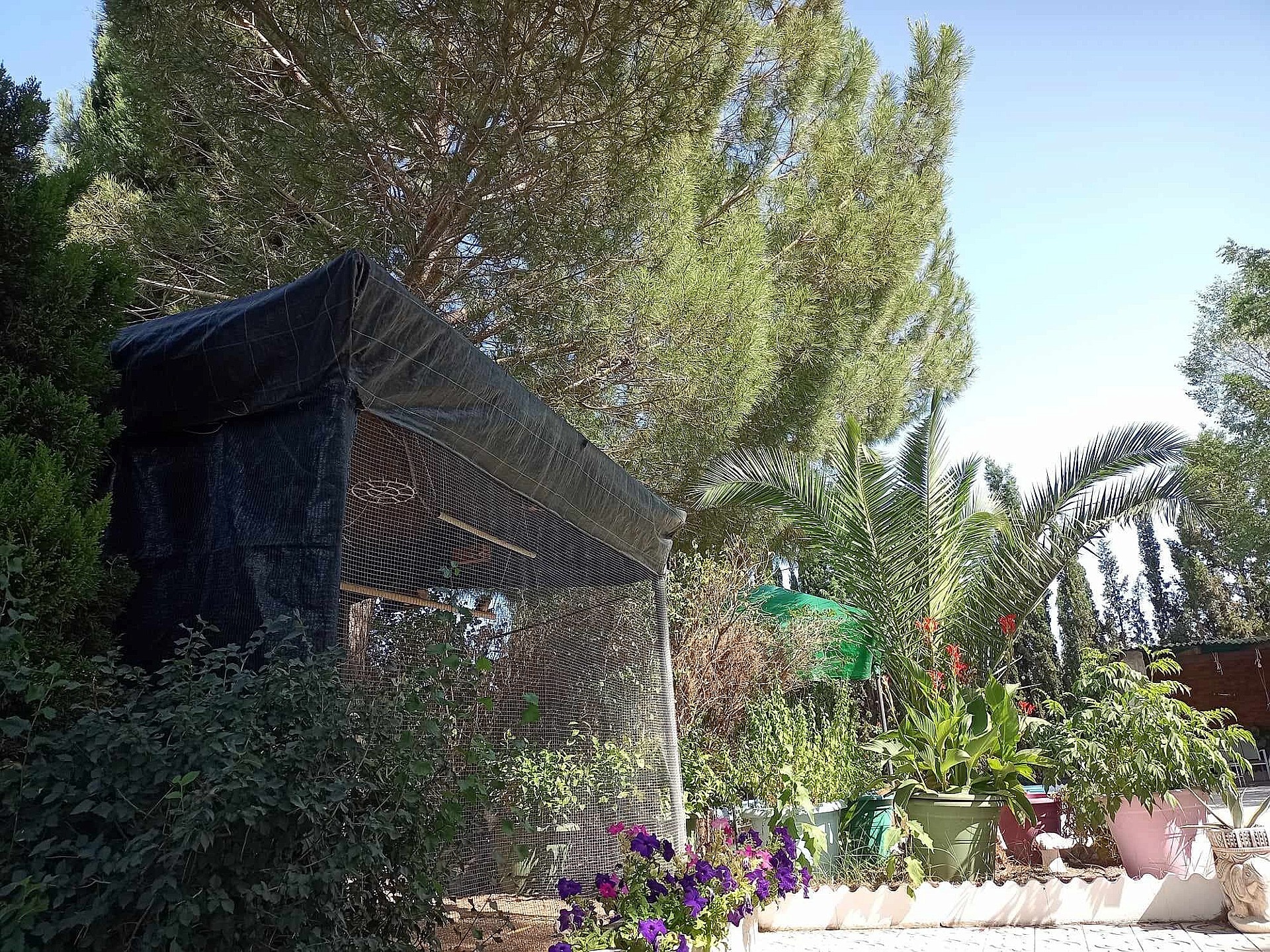 Resale - 5 Bedroom 1 Bathroom Villa in Sax -  - Alicante