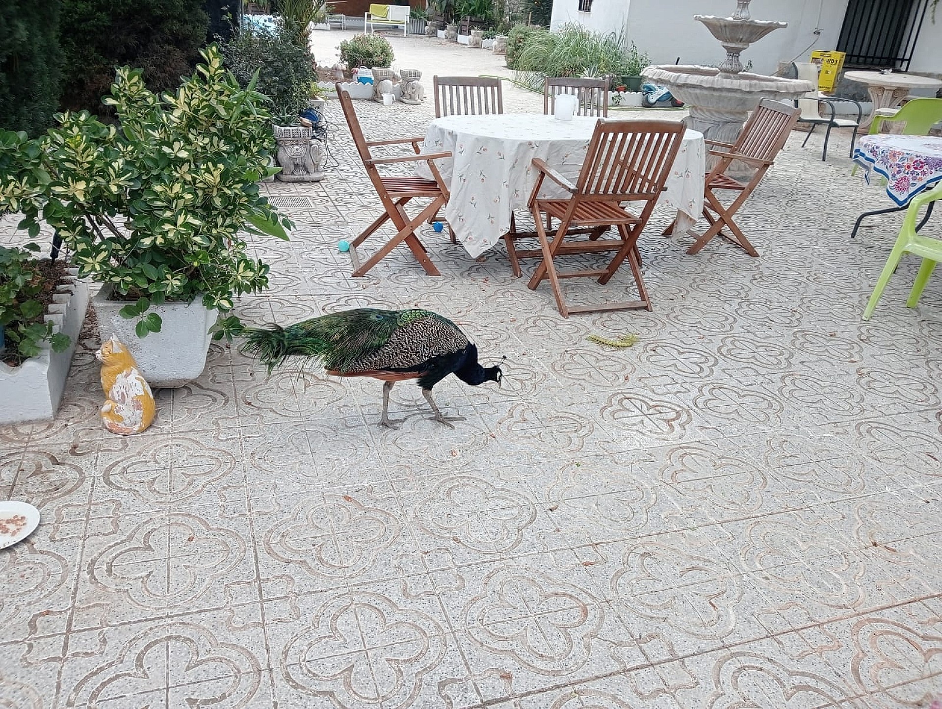 Resale - 5 Bedroom 1 Bathroom Villa in Sax -  - Alicante