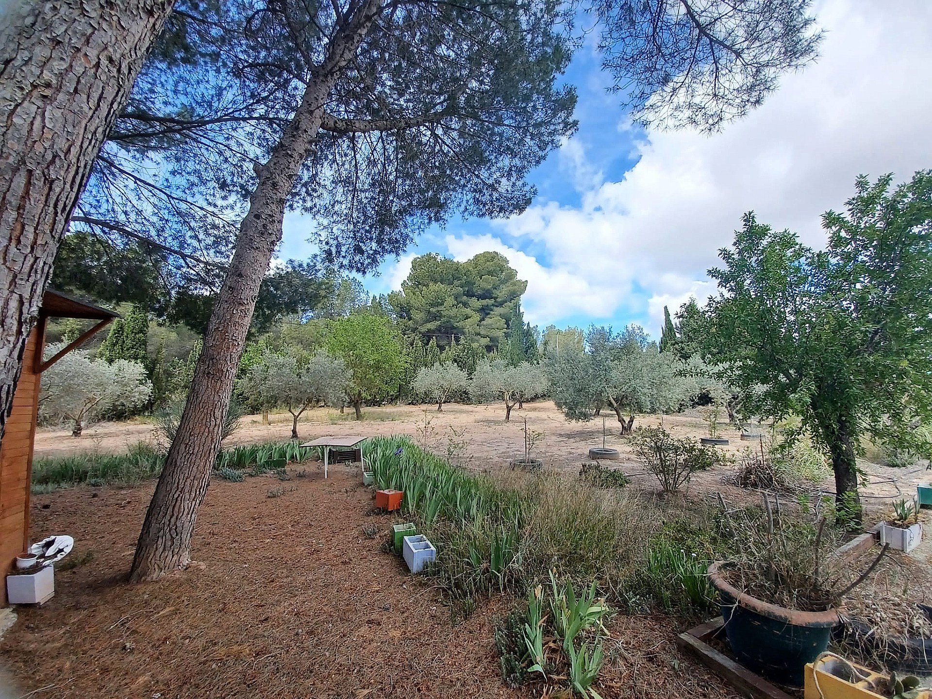 Resale - 5 Bedroom 1 Bathroom Villa in Sax -  - Alicante