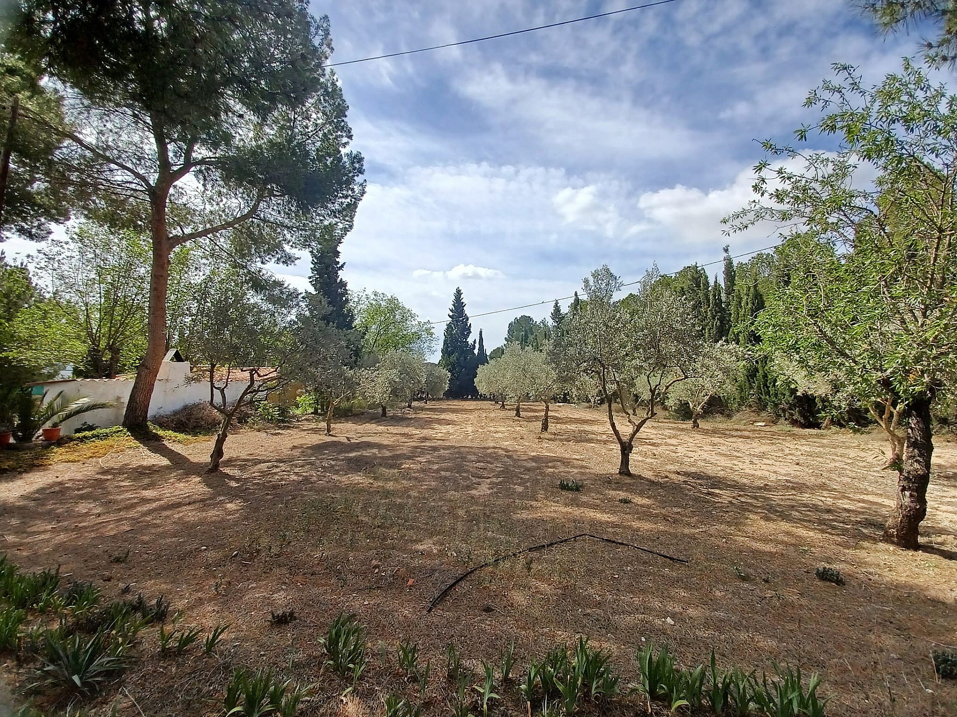 Resale - 5 Bedroom 1 Bathroom Villa in Sax -  - Alicante