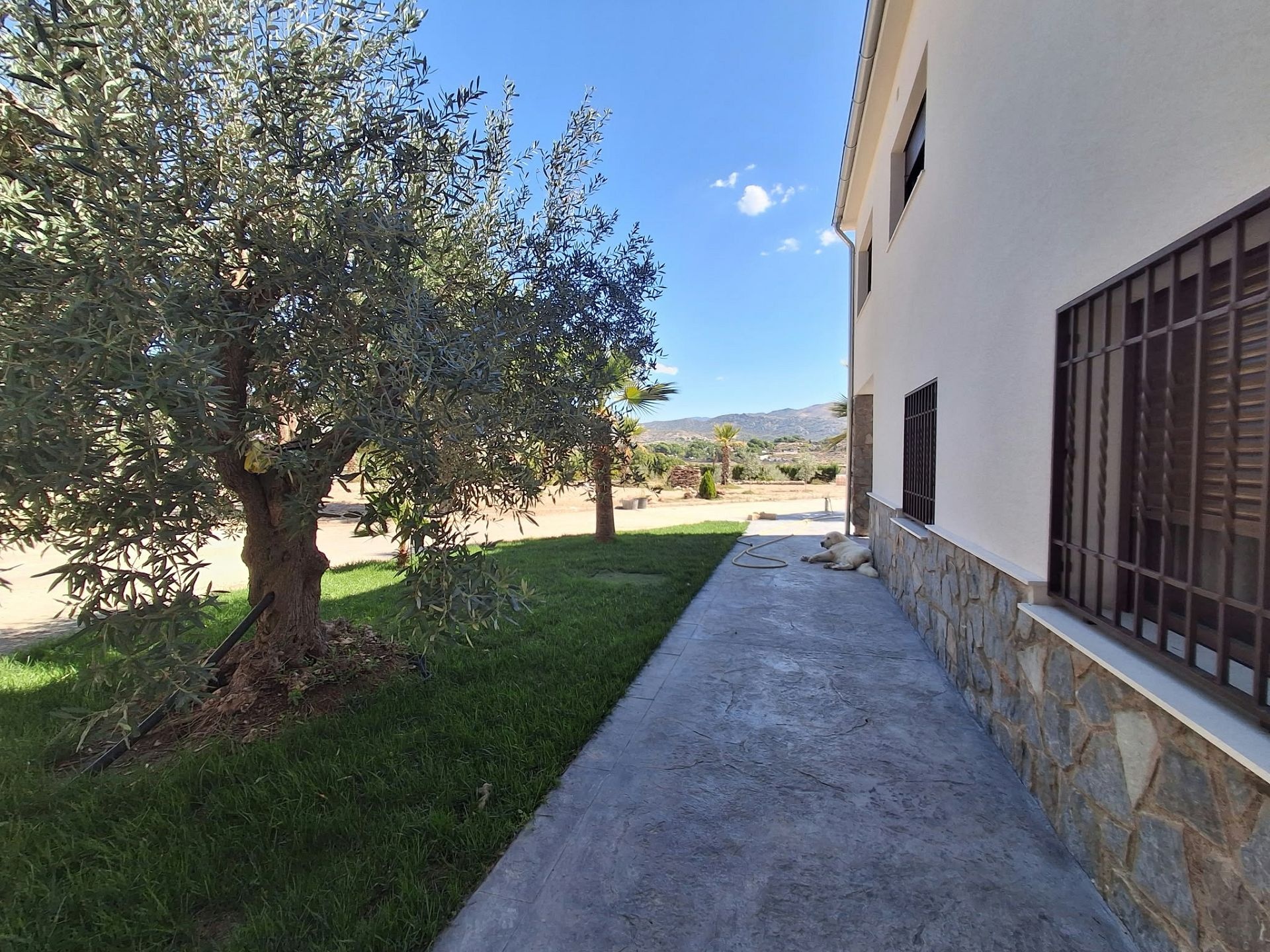 Resale - 7 Bedroom 5 Bathroom Villa in Sax -  - Alicante