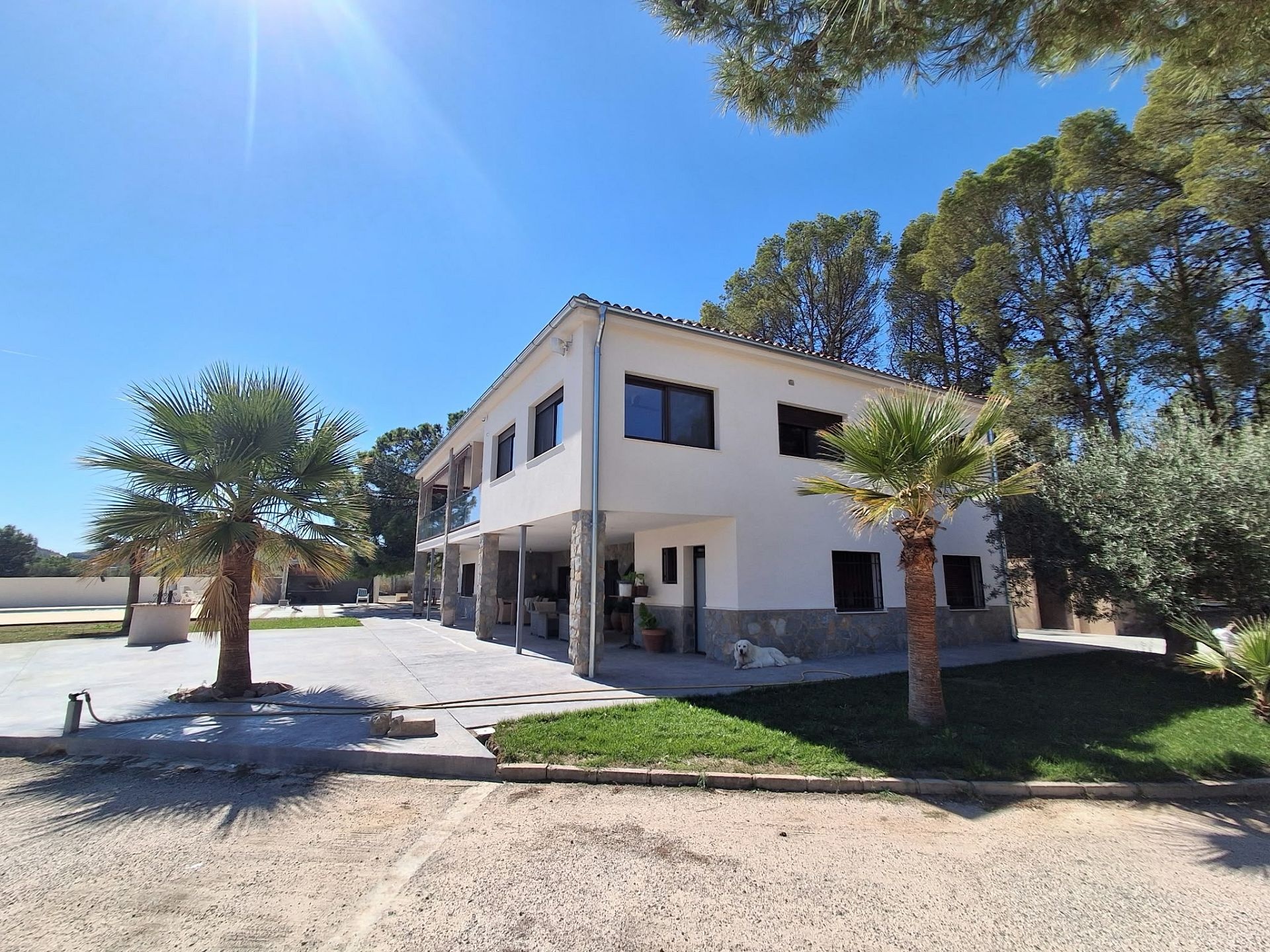 Resale - 7 Bedroom 5 Bathroom Villa in Sax -  - Alicante