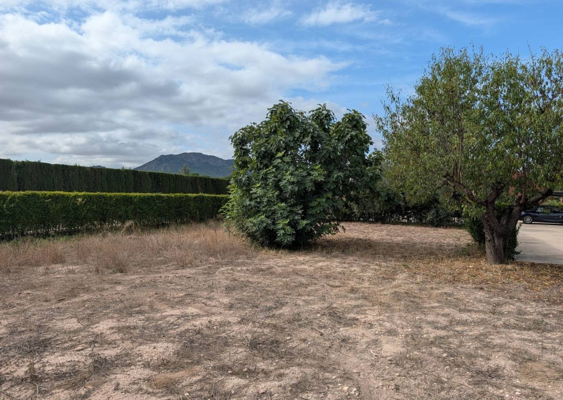 Resale - 4 Bedroom 3 Bathroom Finca in Sax -  - Alicante