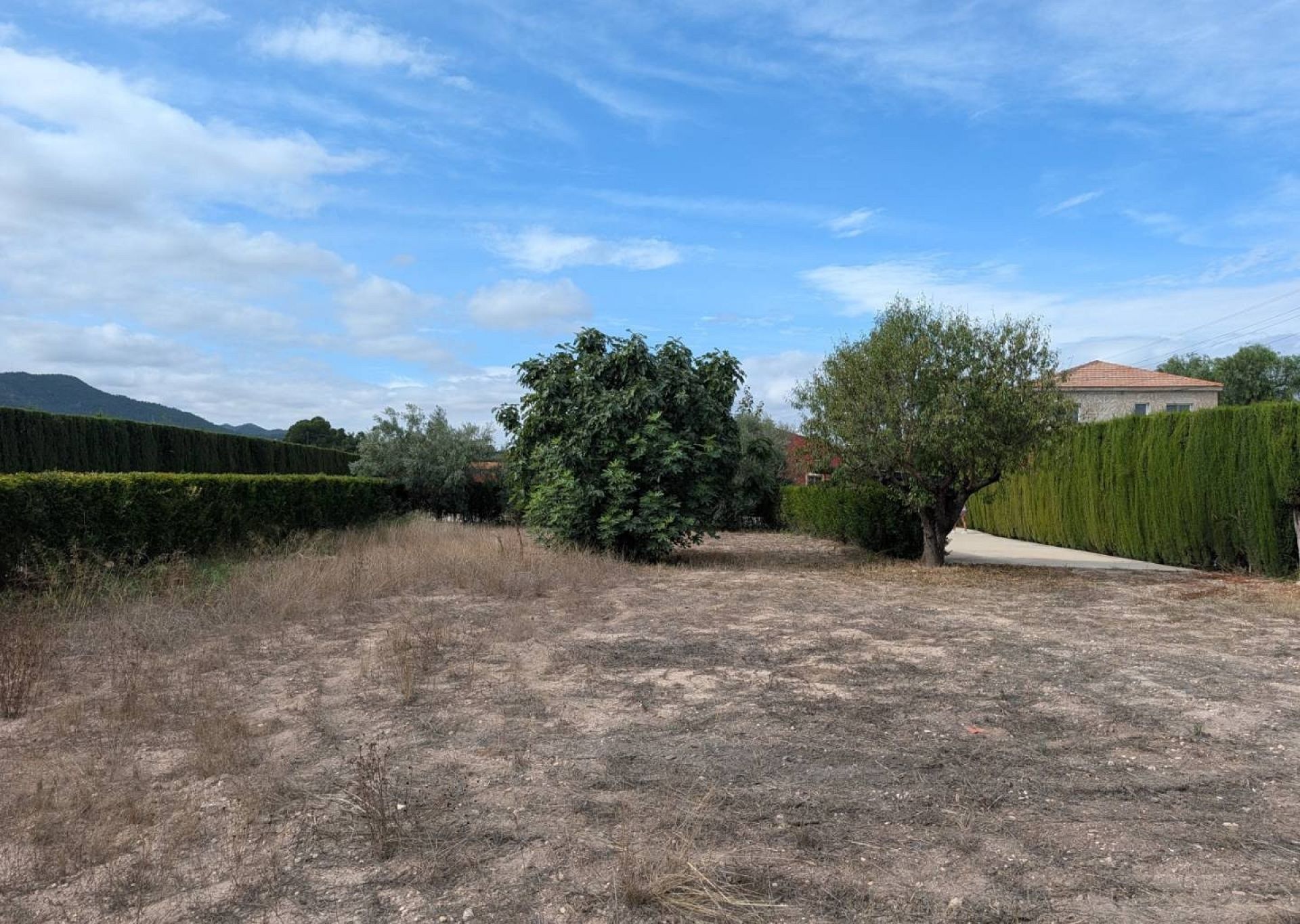 Resale - 4 Bedroom 3 Bathroom Finca in Sax -  - Alicante