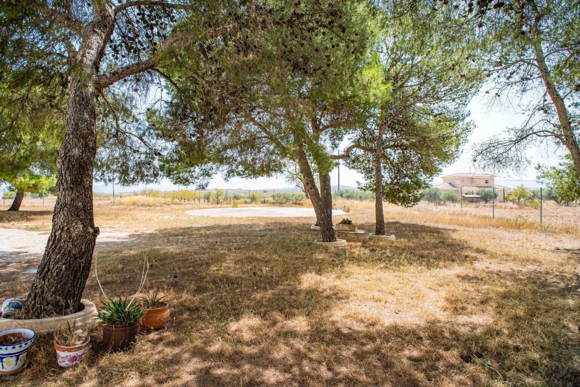 Resale - 5 Bedroom 5 Bathroom Country house in Pinoso -  - Alicante