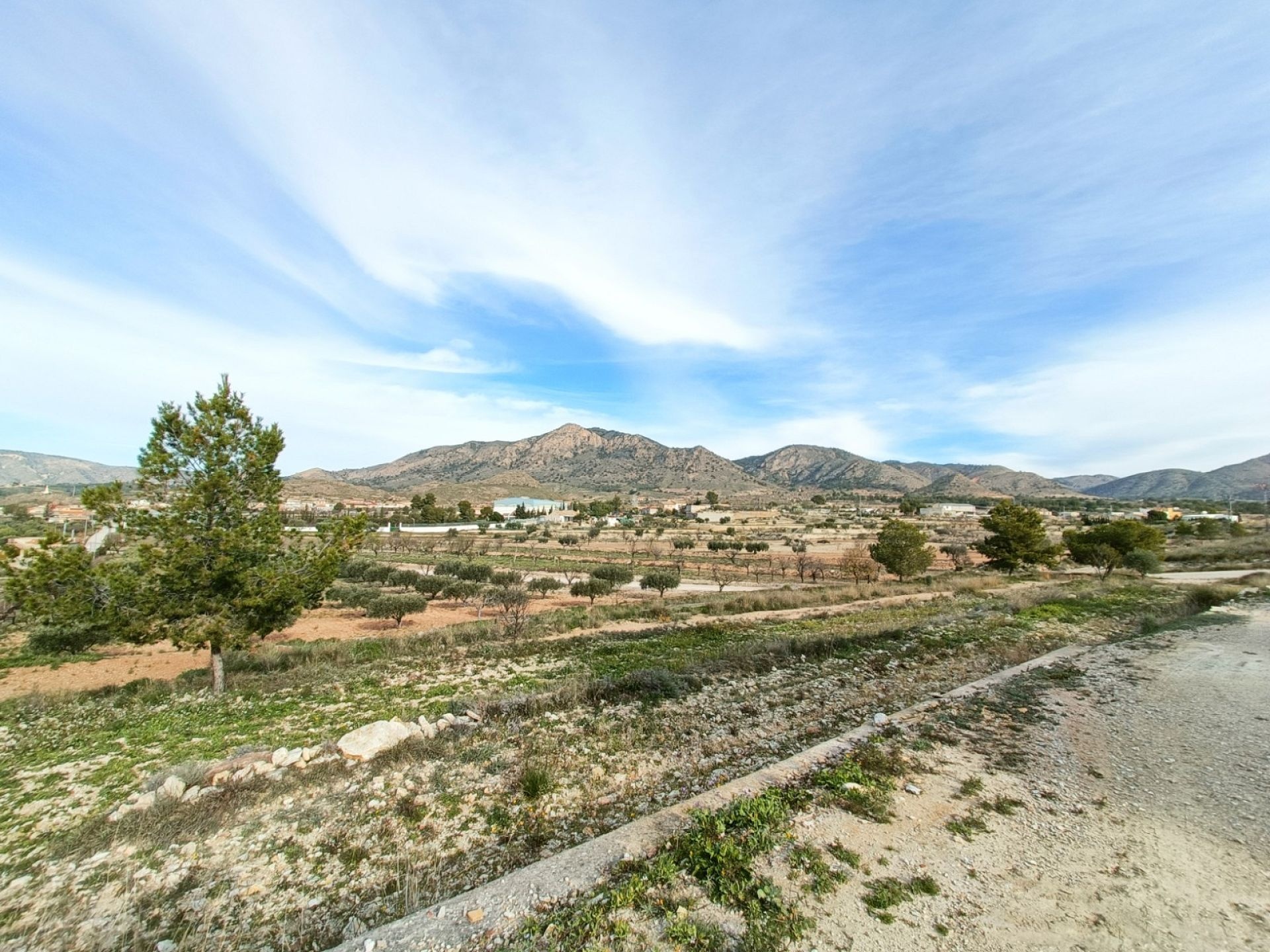 Resale - 3 Bedroom 1 Bathroom Country house in Barinas -  - Murcia