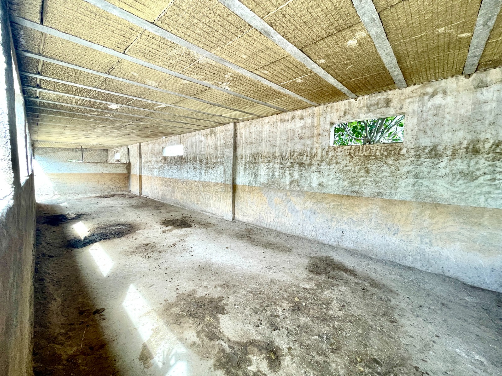 Resale - 3 Bedroom 2 Bathroom Finca / Country Property in Orihuela - Orihuela  - Alicante