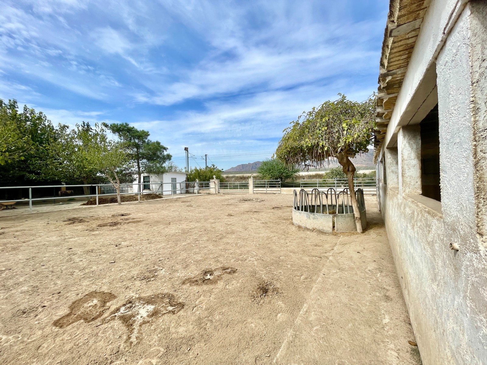 Resale - 3 Bedroom 2 Bathroom Finca / Country Property in Orihuela - Orihuela  - Alicante
