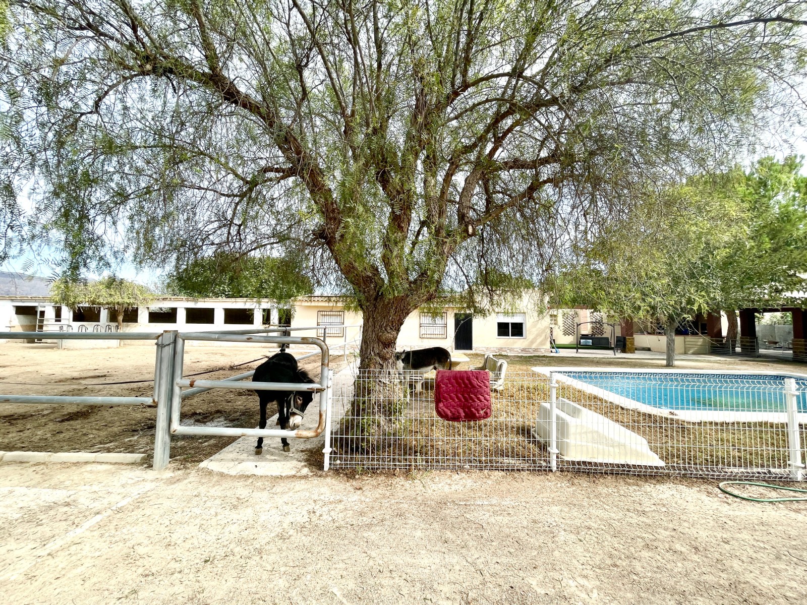 Resale - 3 Bedroom 2 Bathroom Finca / Country Property in Orihuela - Orihuela  - Alicante