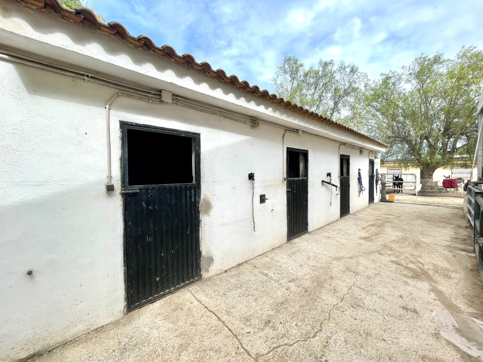 Resale - 3 Bedroom 2 Bathroom Finca / Country Property in Orihuela - Orihuela  - Alicante
