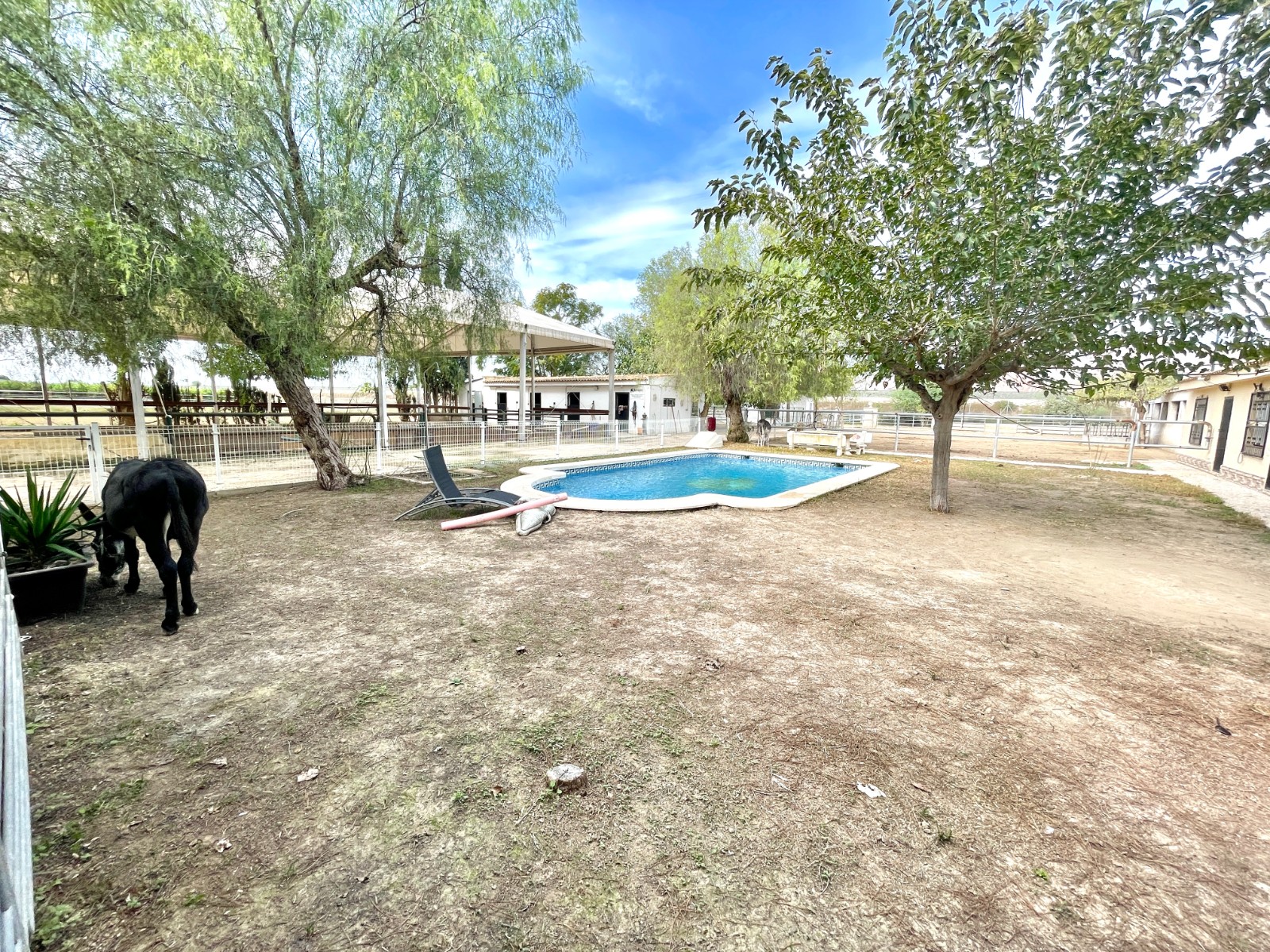 Resale - 3 Bedroom 2 Bathroom Finca / Country Property in Orihuela - Orihuela  - Alicante