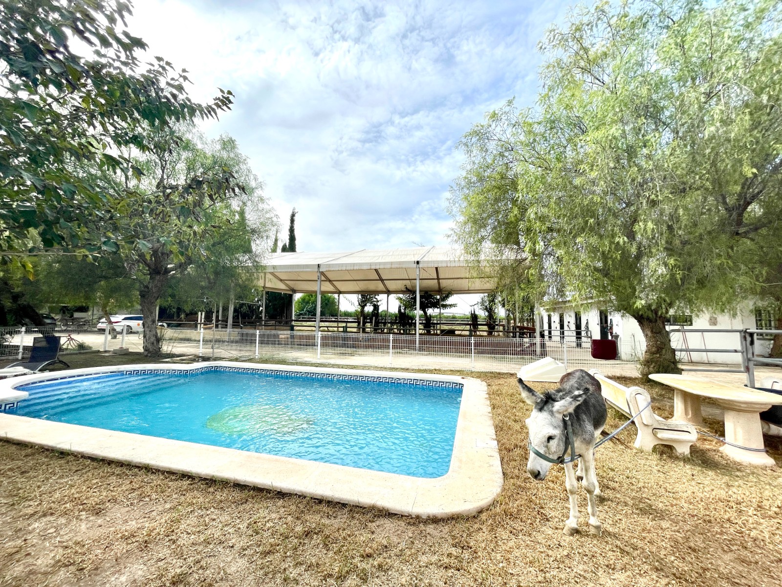 Resale - 3 Bedroom 2 Bathroom Finca / Country Property in Orihuela - Orihuela  - Alicante