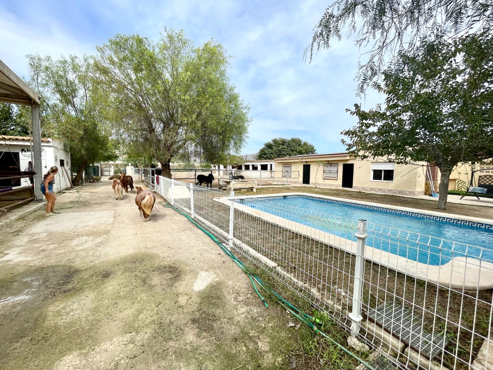 Resale - 3 Bedroom 2 Bathroom Finca / Country Property in Orihuela - Orihuela  - Alicante